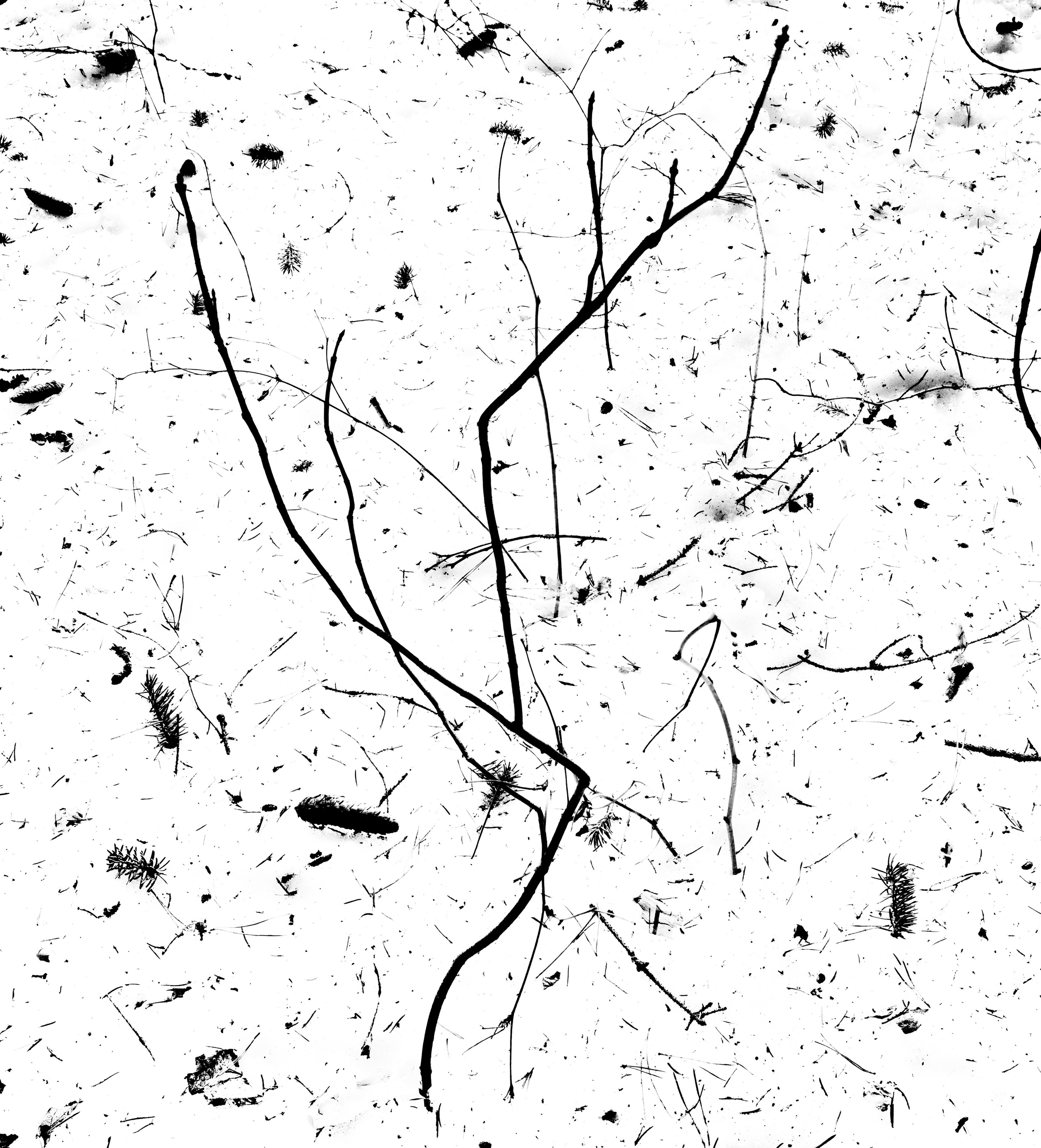 г.Кирово-Чепецк, 17.03.2025