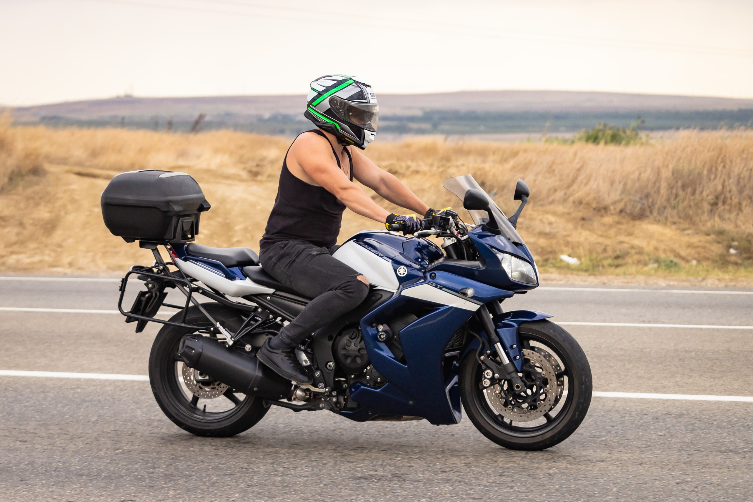 Южное Сафари в Тамани. Сентябрь 2024. Фотограф Владимир Охрименко