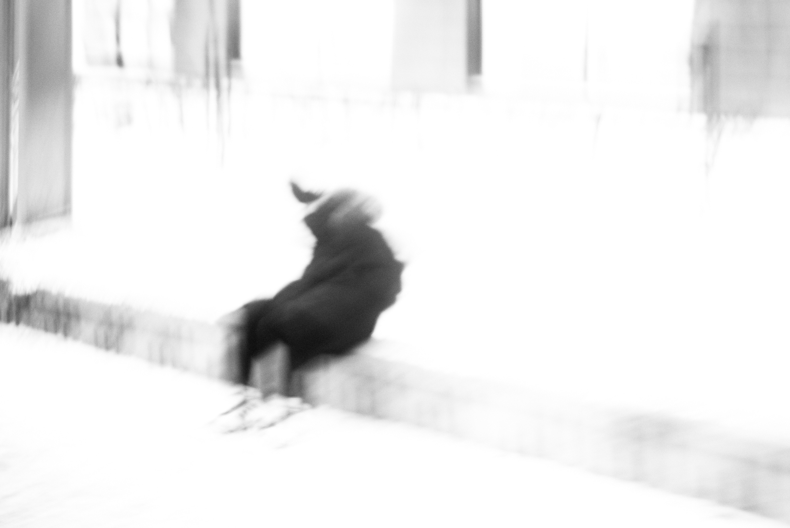 Street photo. Фотограф (photographer) Lischinski Vitaliy