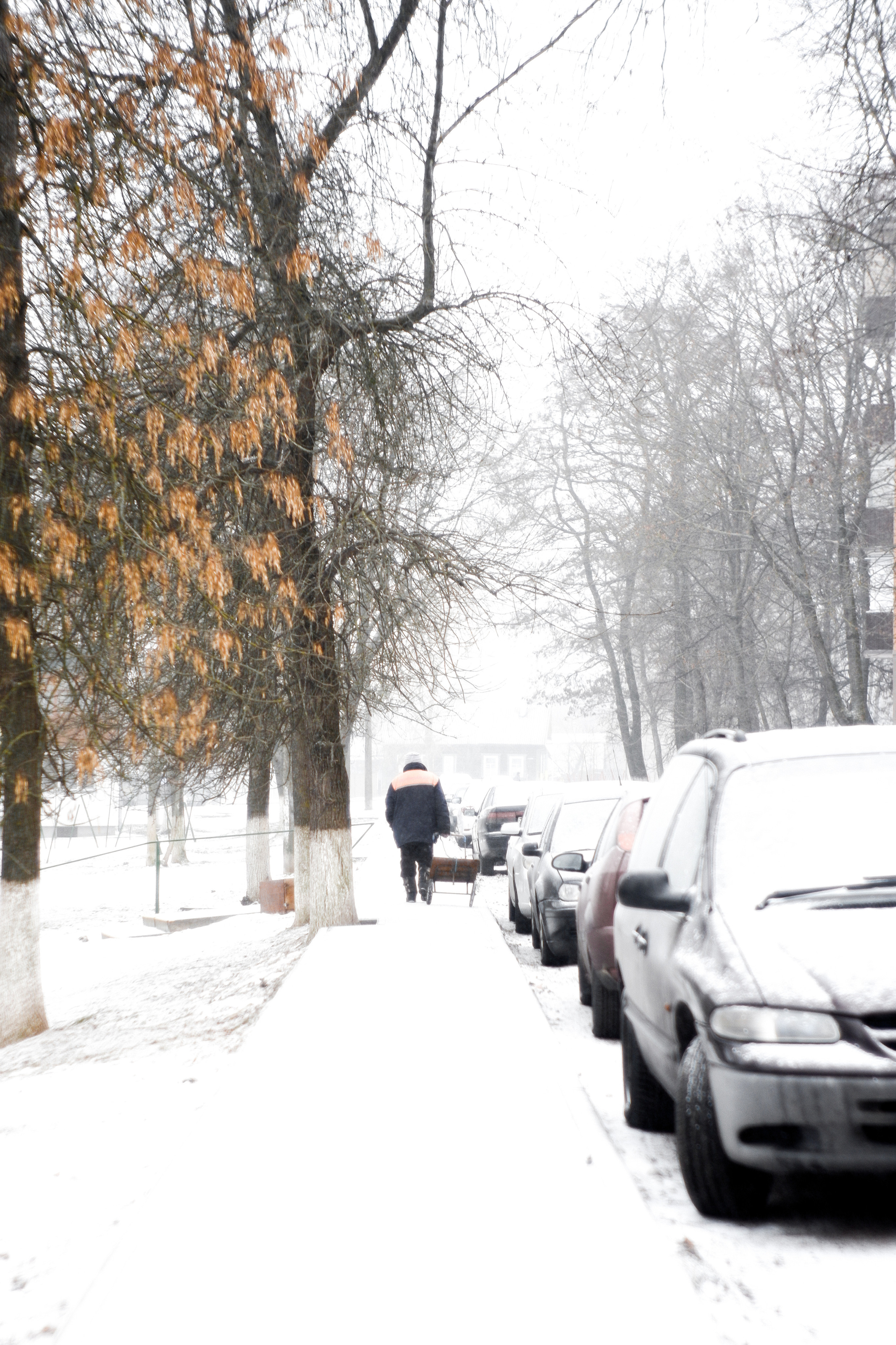 Street photo. Фотограф (photographer) Lischinski Vitaliy