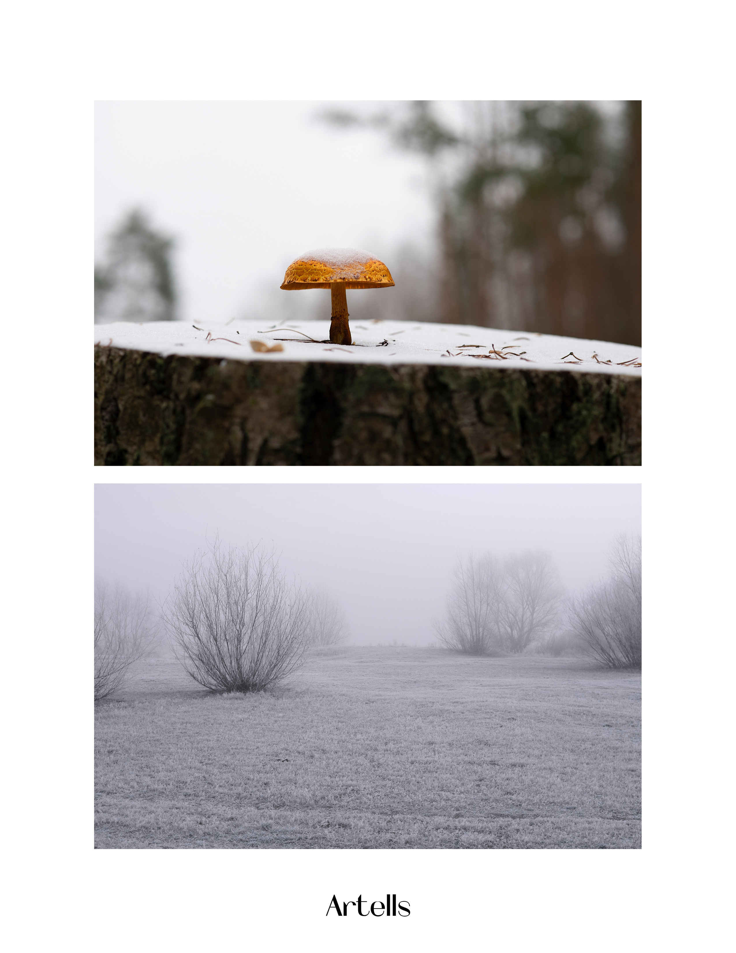 My publications in printed publications, magazines. Фотограф (photographer) Lischinski Vitaliy