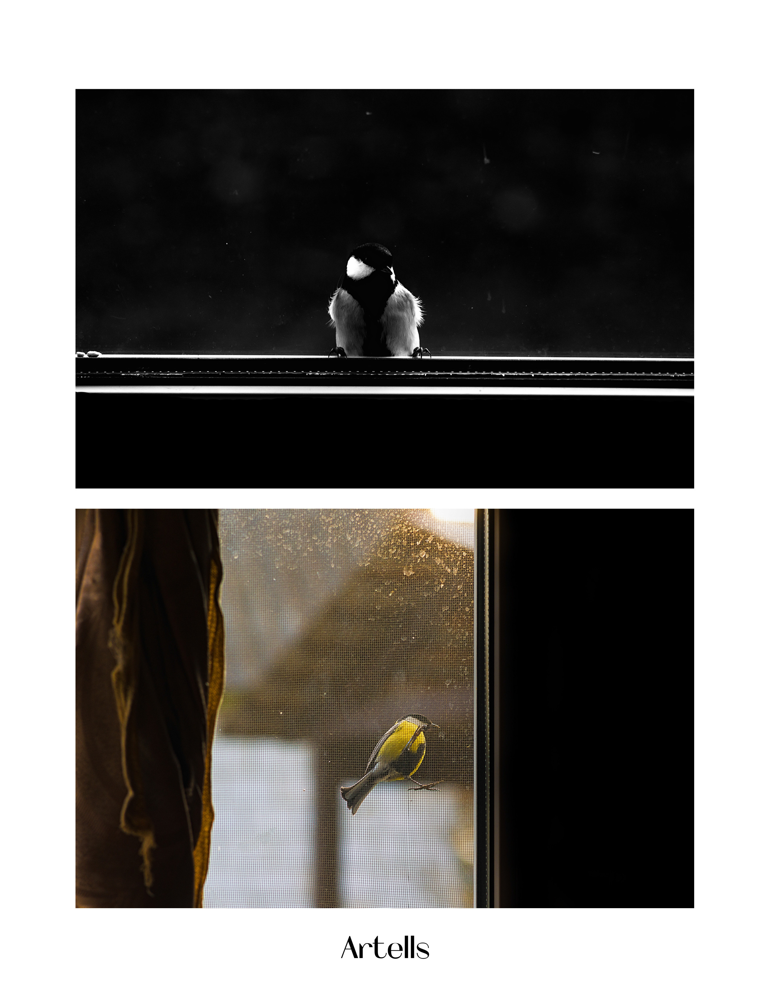 My publications in printed publications, magazines. Фотограф (photographer) Lischinski Vitaliy