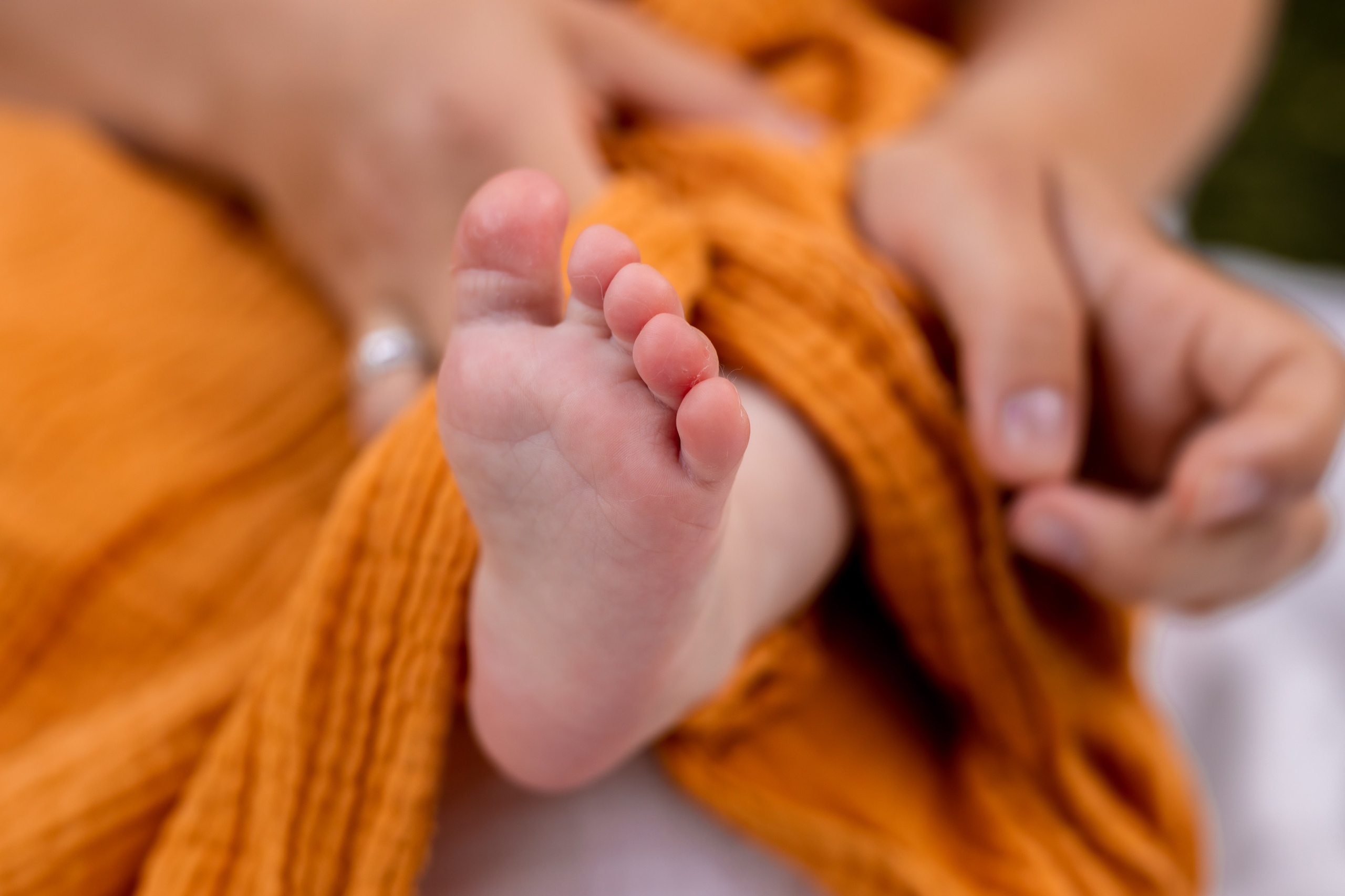 Эмилия 6 месяцев. Портретный и семейный фотограф в Москве Ирина Голубчина