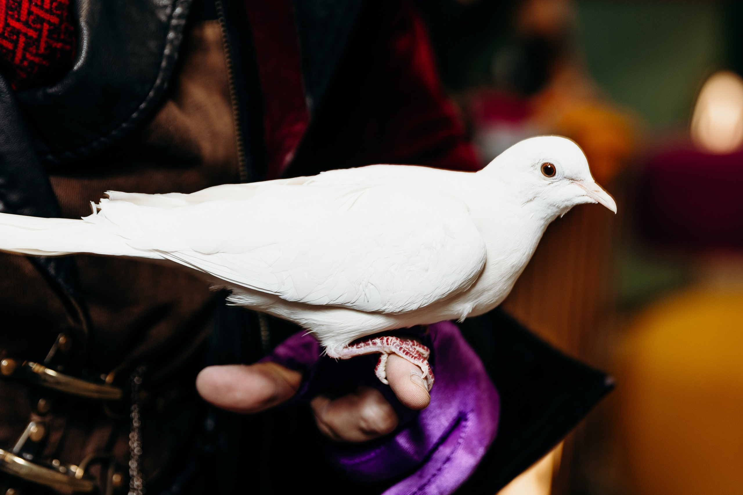 Миша 5 лет. Фотограф Вадим Казусь