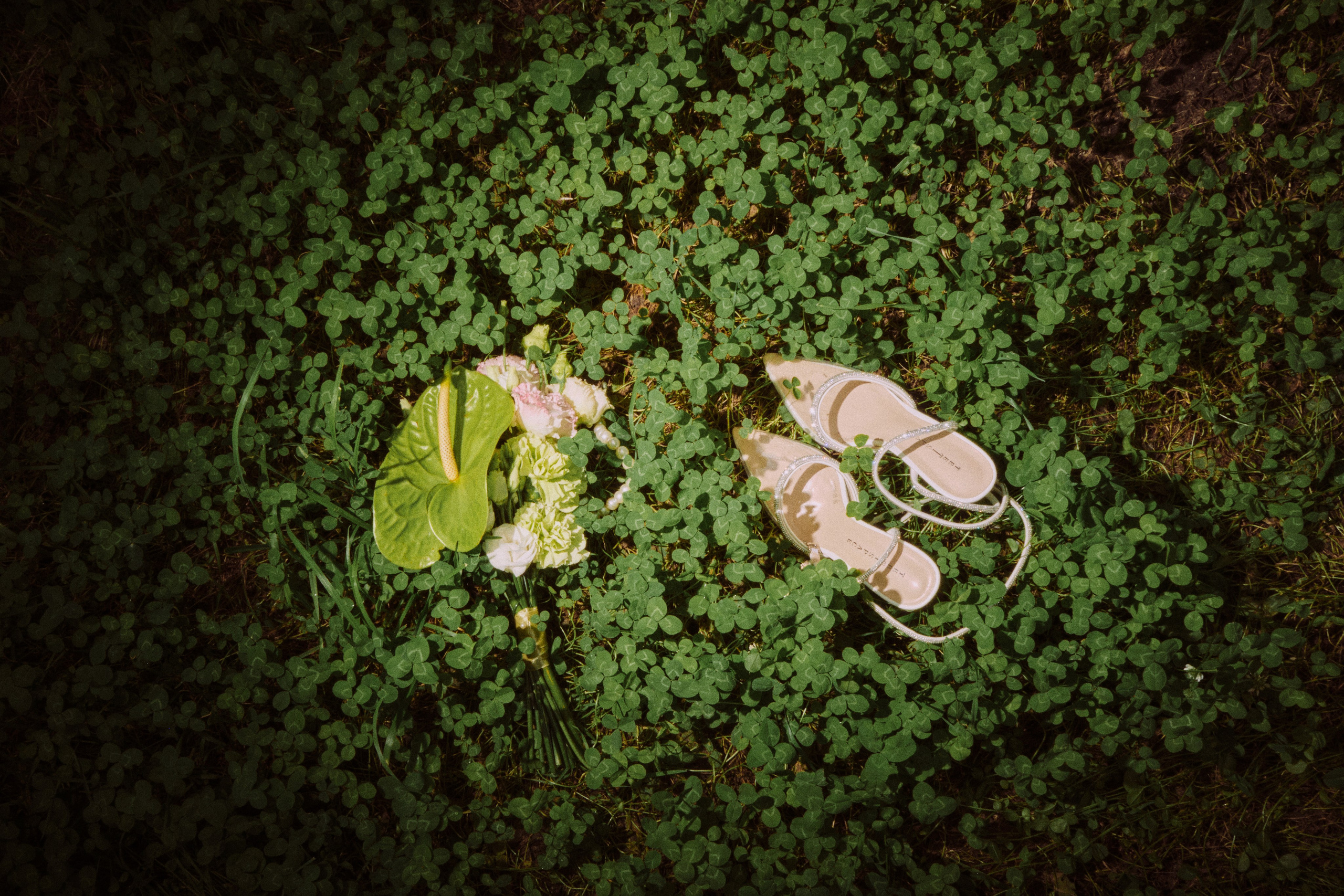 Прогулка. Фэшн фотограф Арина Эльюс в Новосибирске