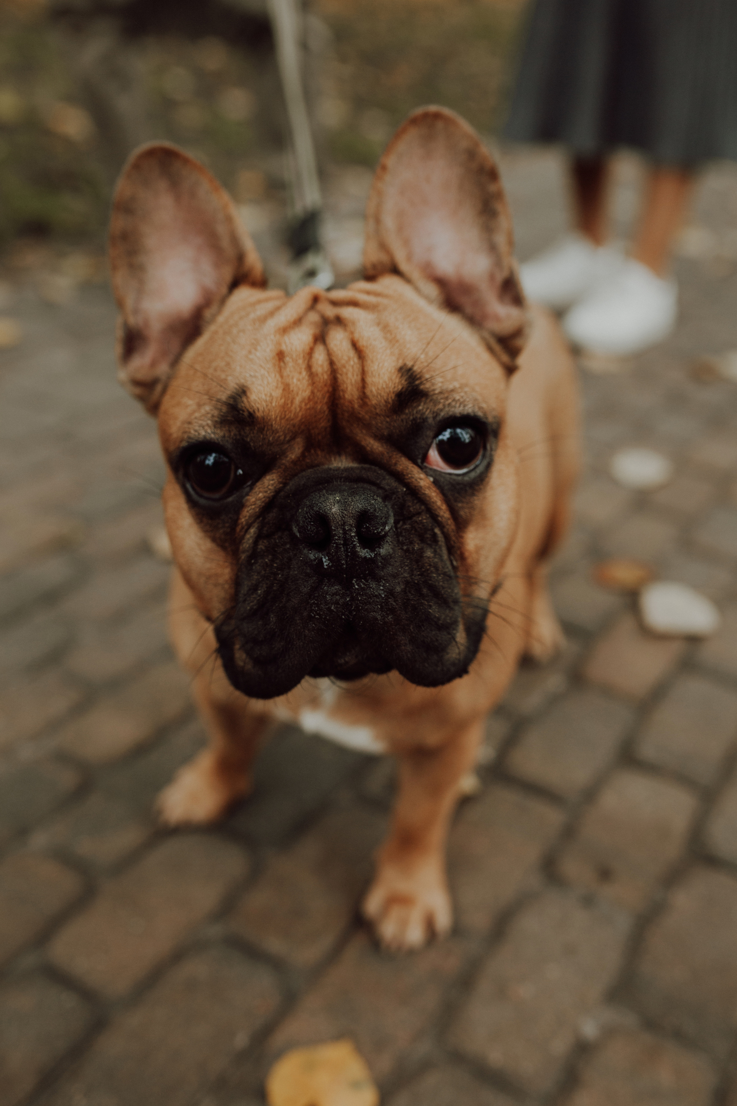 Сергей Саша Дизель. Семейный фотограф в Минске и РБ Стеликова Анна
