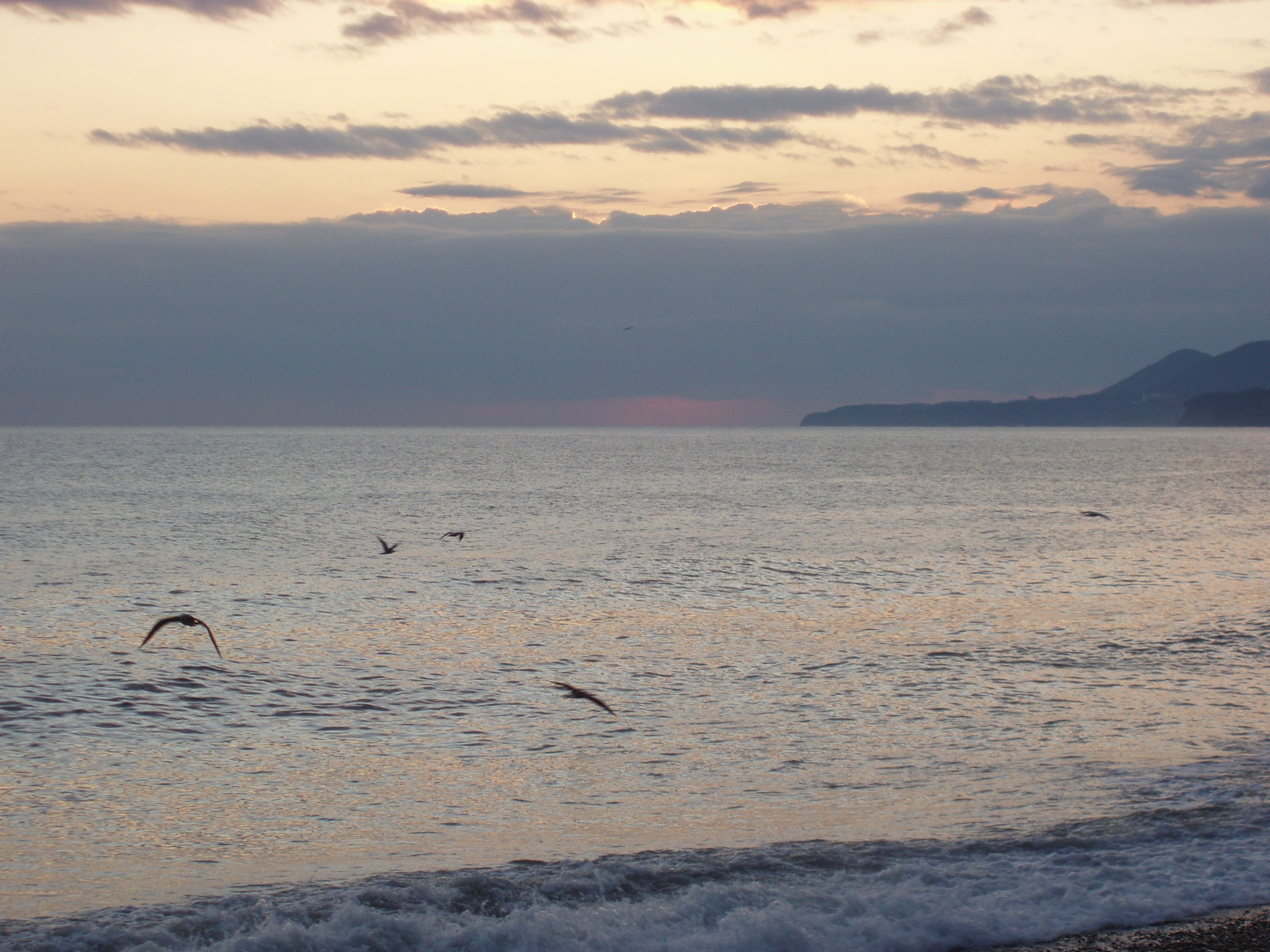 Отпуск 28.07-17.08. Семейный, Свадебный фотограф СПБ Питер— Романова Екатерина