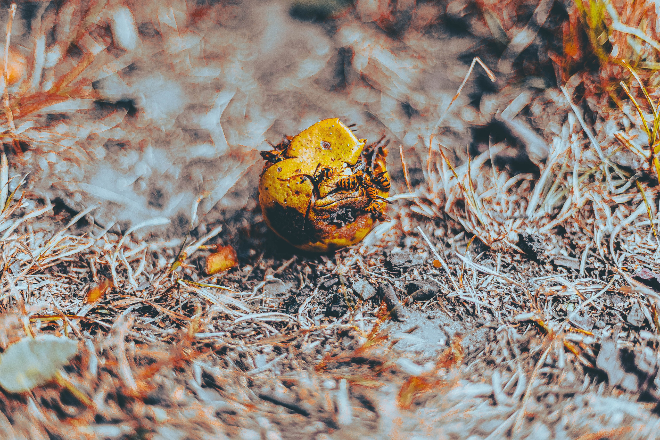 Луке 4 и трансформеры. Семейный, свадебный и контент фотограф Москва