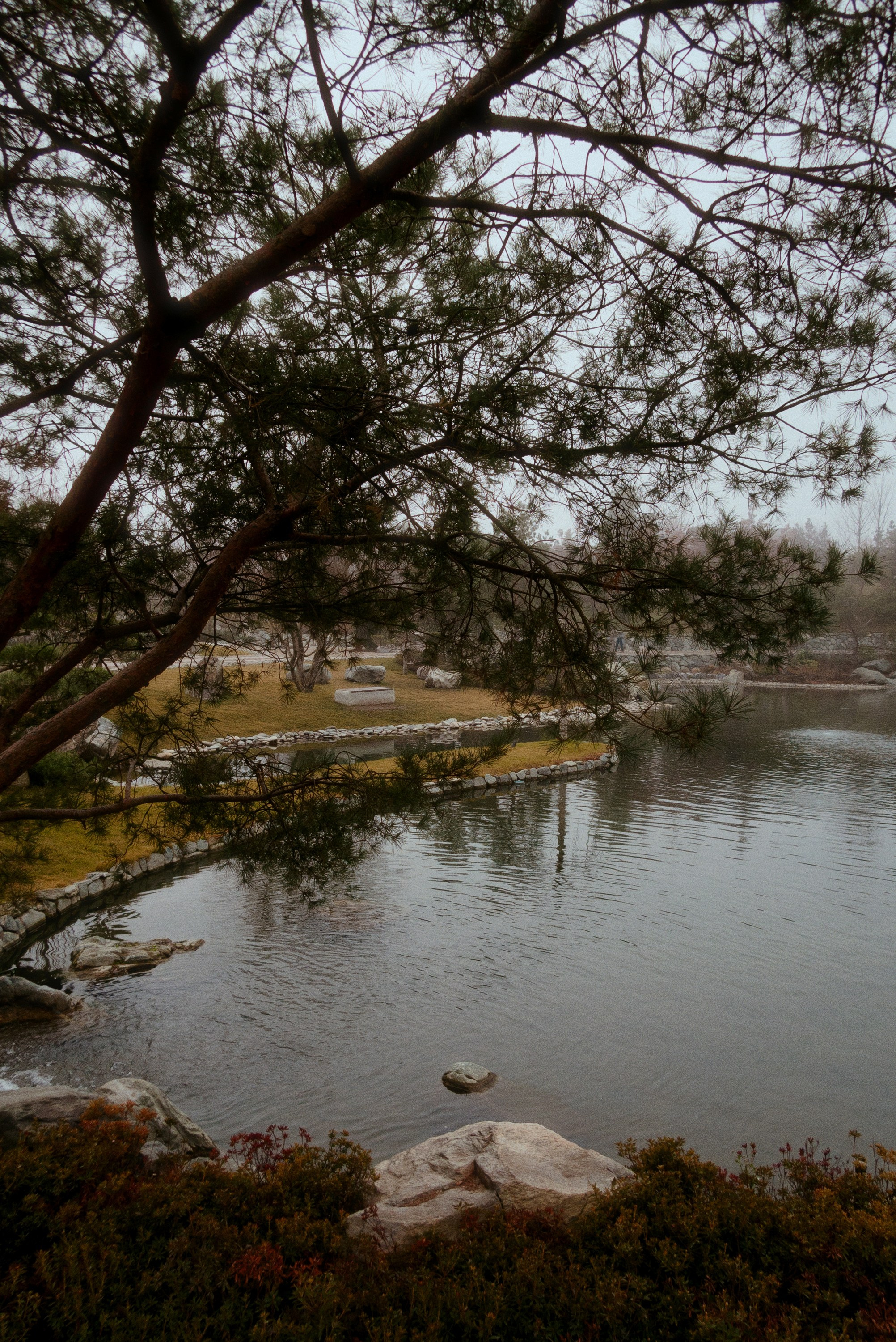 OM-System Tough-7 / Park Krasnodar (japan). Фотограф Юрин Евгений
