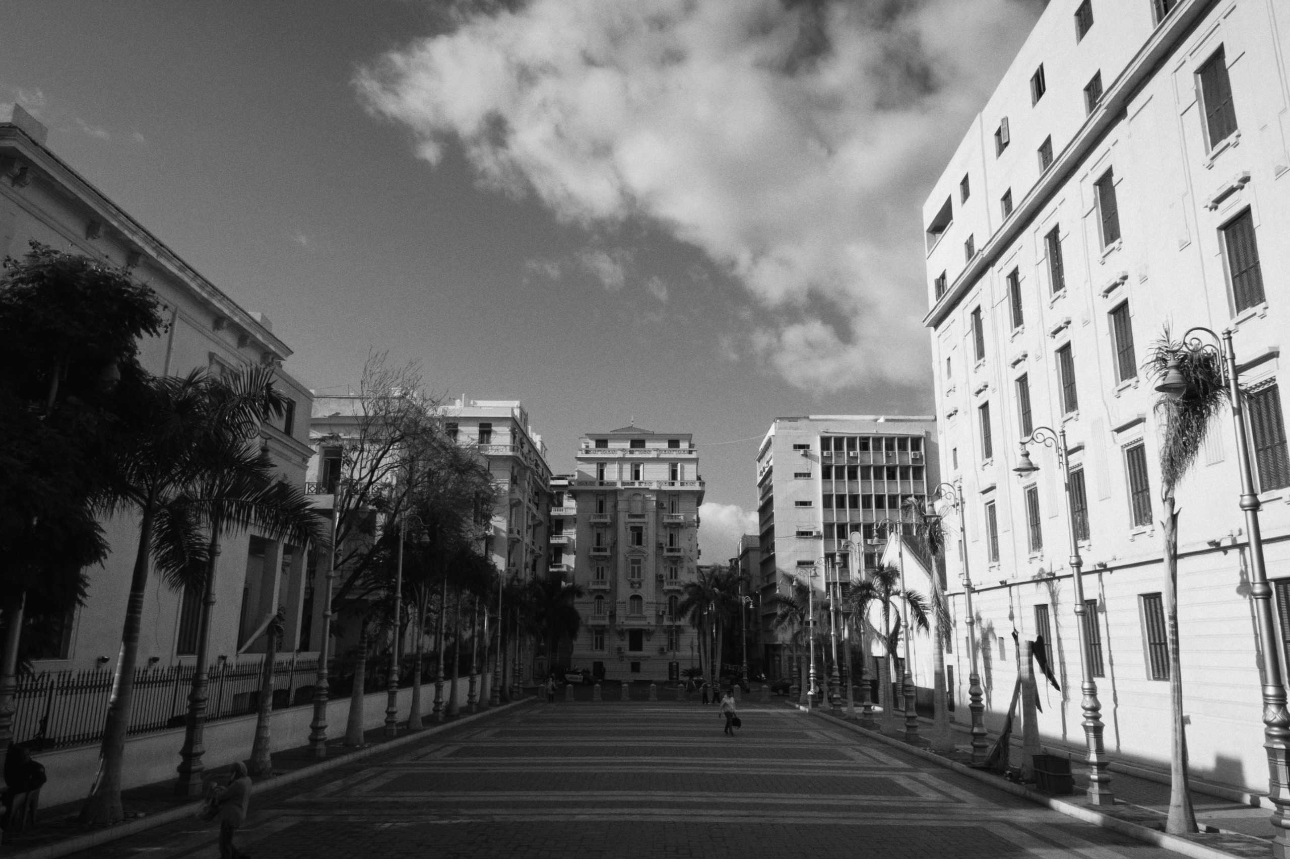 Alexandria / Egypt AW25. Фотограф Юрин Евгений