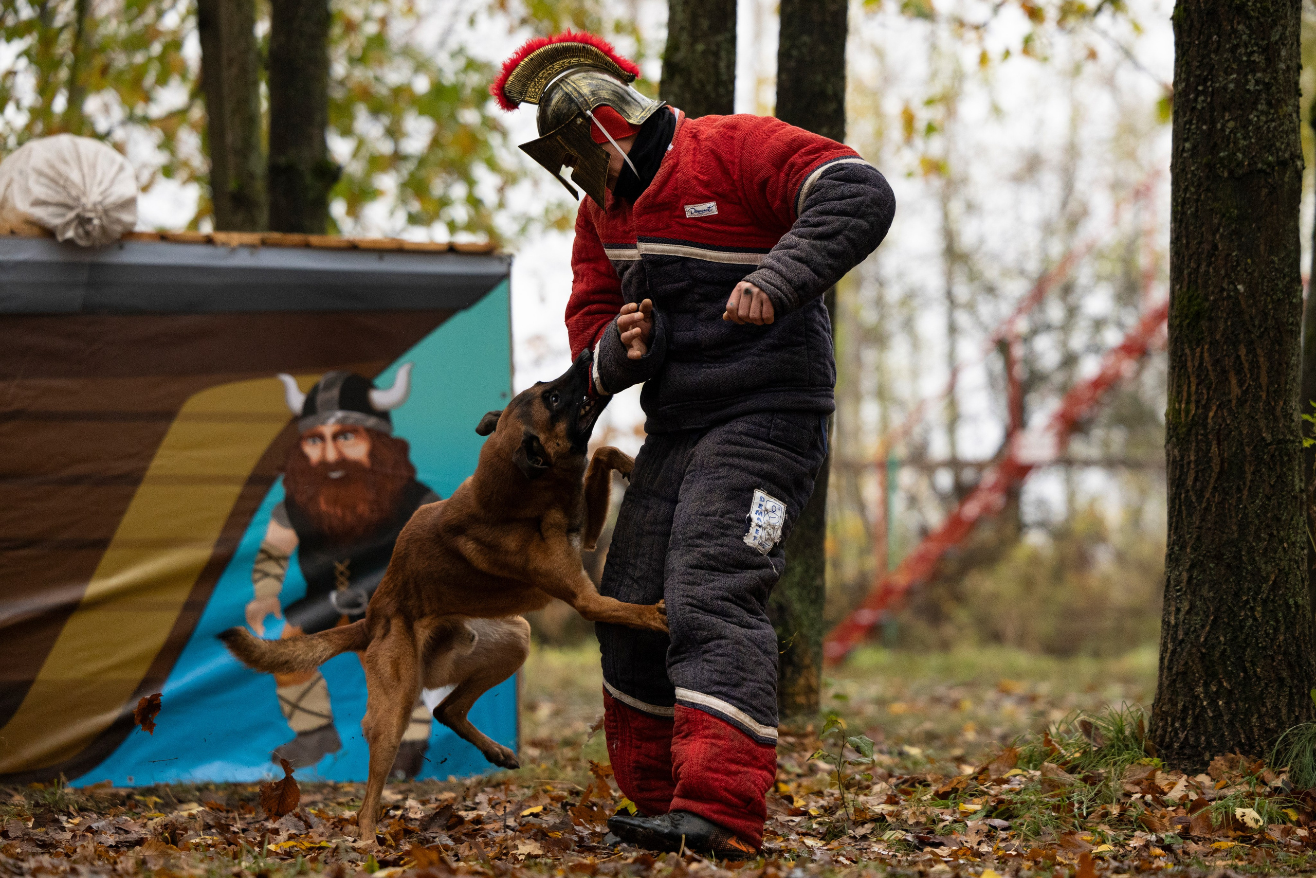 Соревнования по Мондьорингу г. Вологда. Фотограф-анималист Анна Маринич