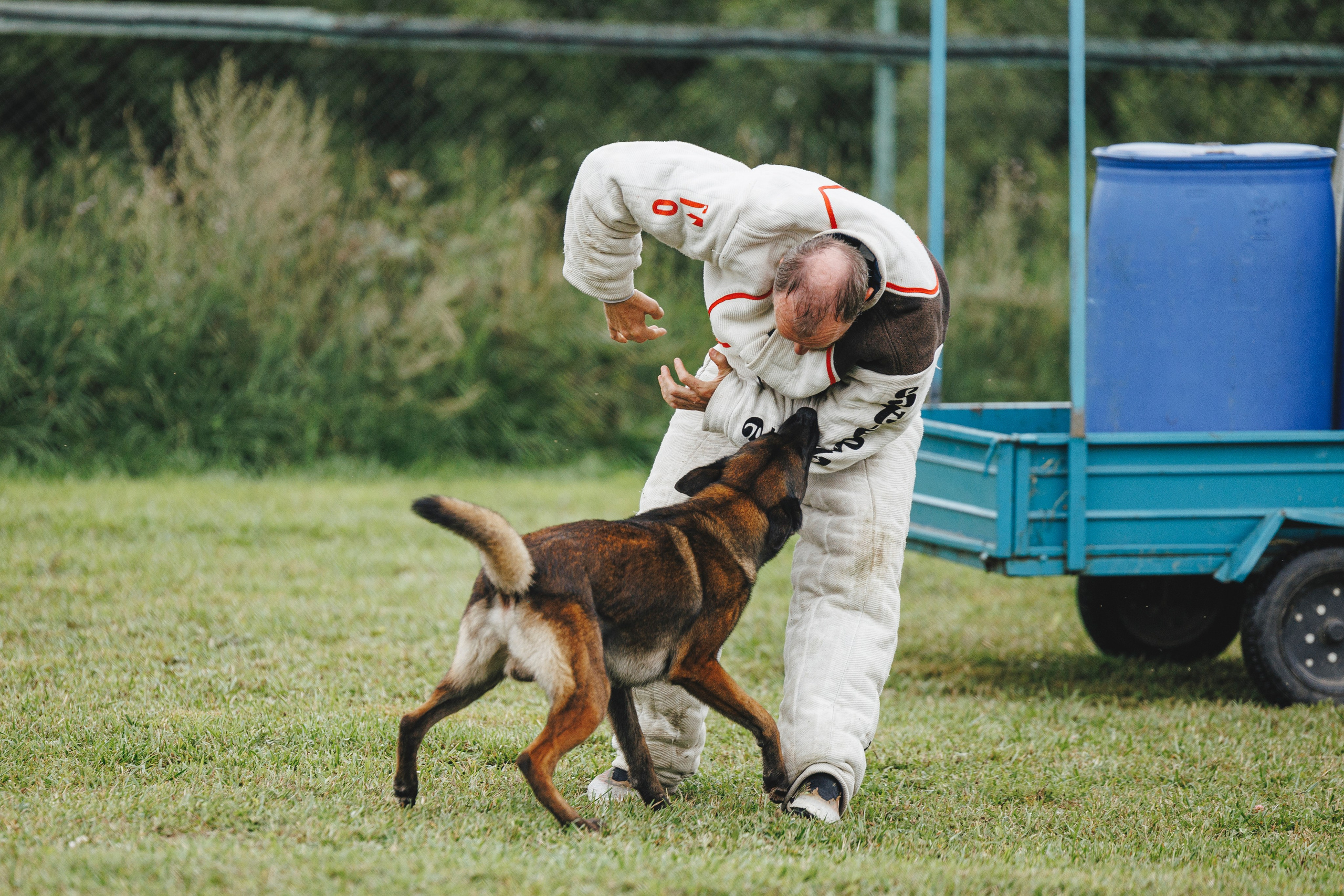 08.08.25-10.08.25 ЧР по мондьорингу г. Вологда. Фотограф-анималист Анна Маринич