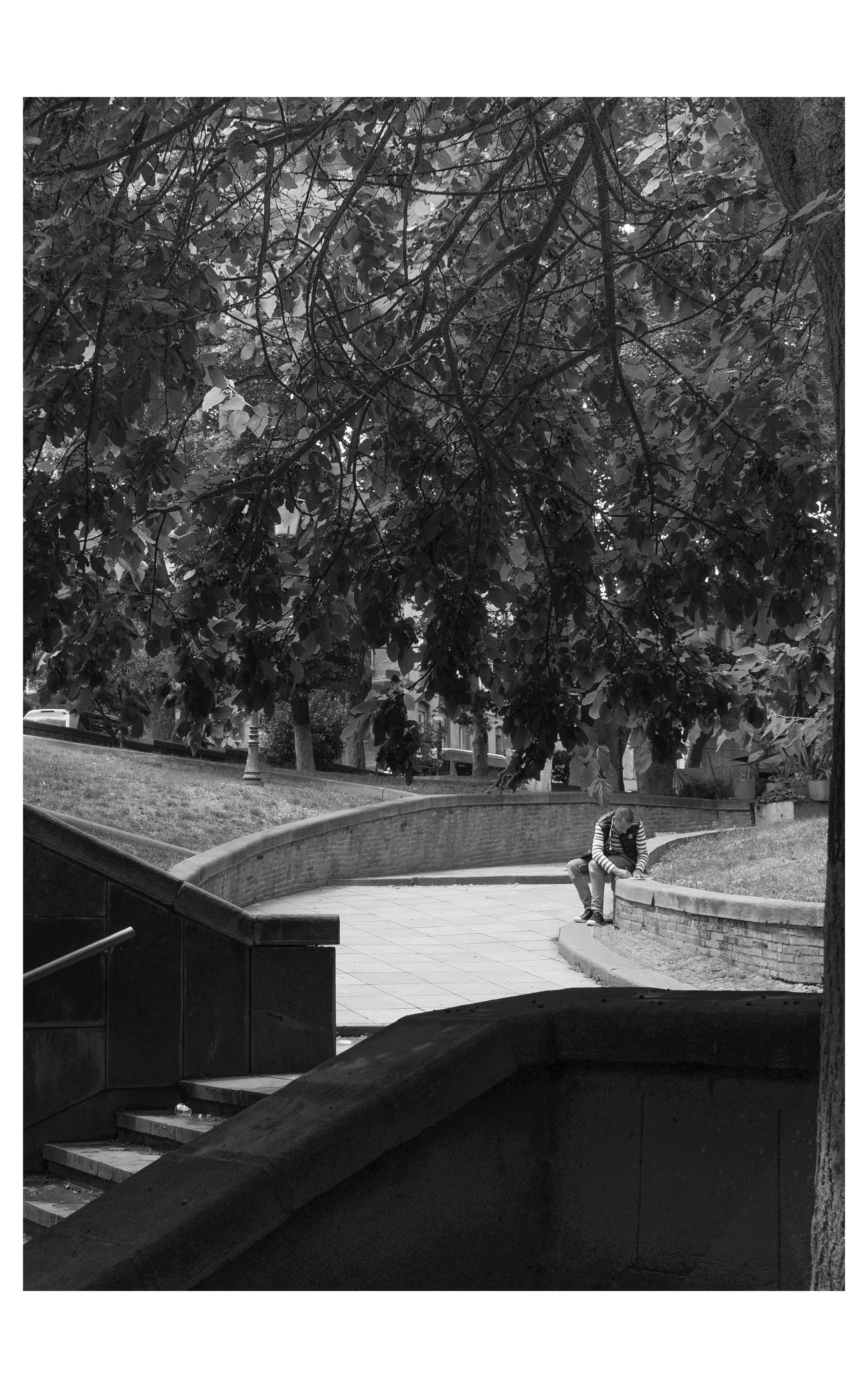 Фотографии из Грузии для интерьеров. Фотографии Руслана Сайдалиева (Рус Сай)