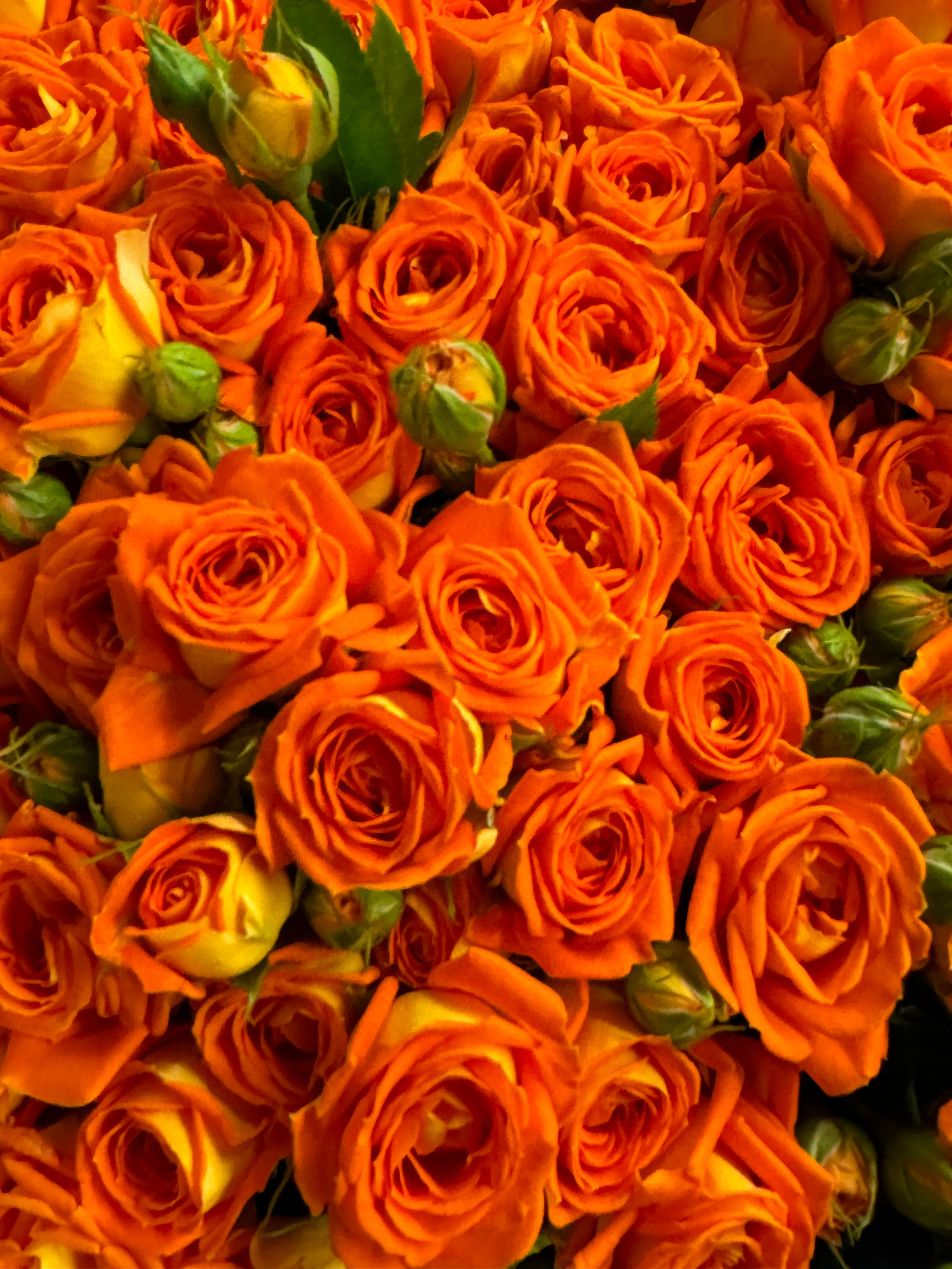 Анрика Арт творю то, что чувствую. ЛОВОСЫ — студия волос, стрижки окрашивания уходы трихология прикорневой объем