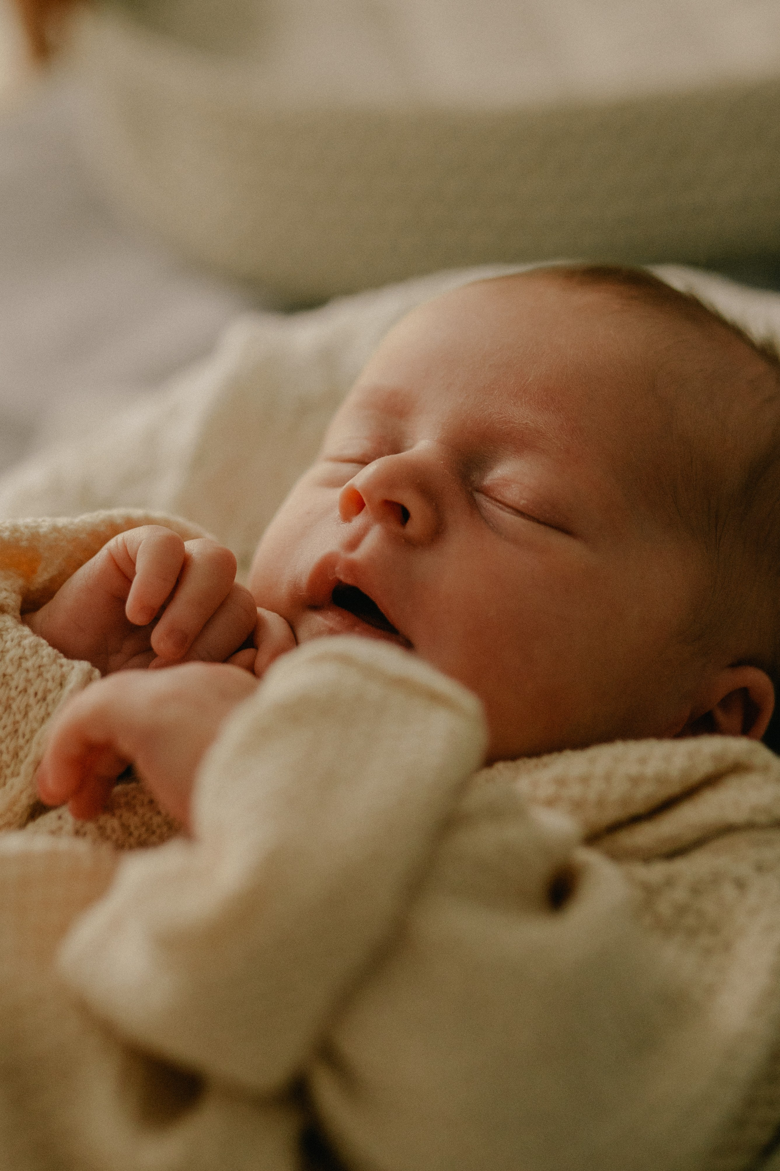 Лена, Игорь, Арина, Агата. Семейный фотограф Москва