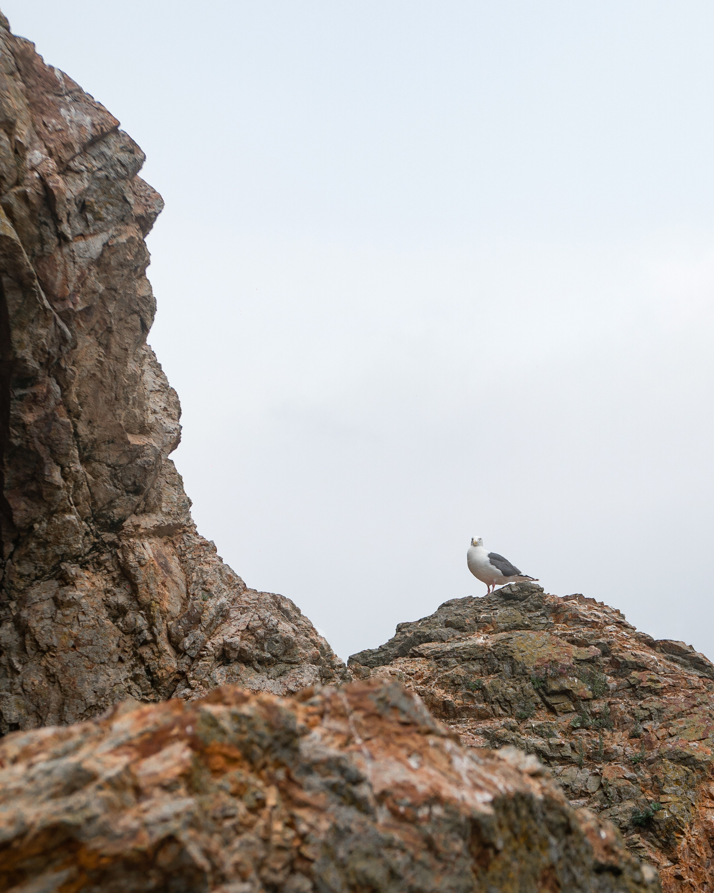 Сахалин. Gusarov Travel Photography