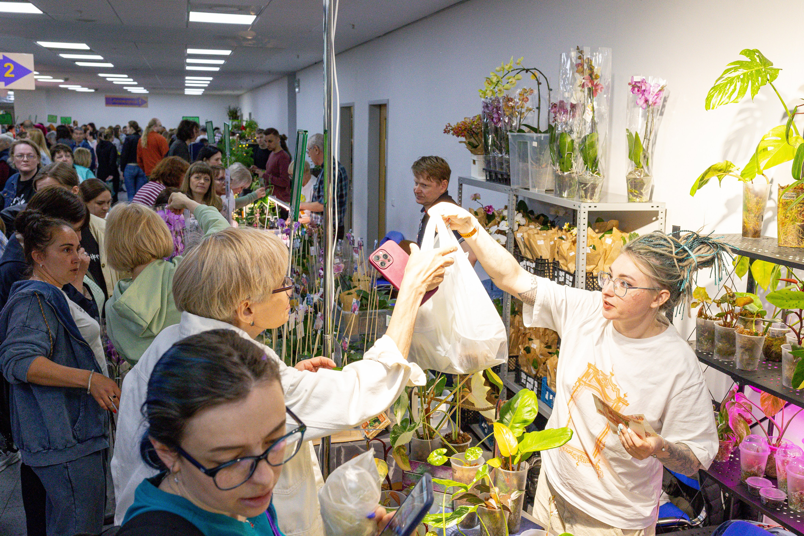 Орхидиум май 2025. Александра Куликова фотограф, Москва