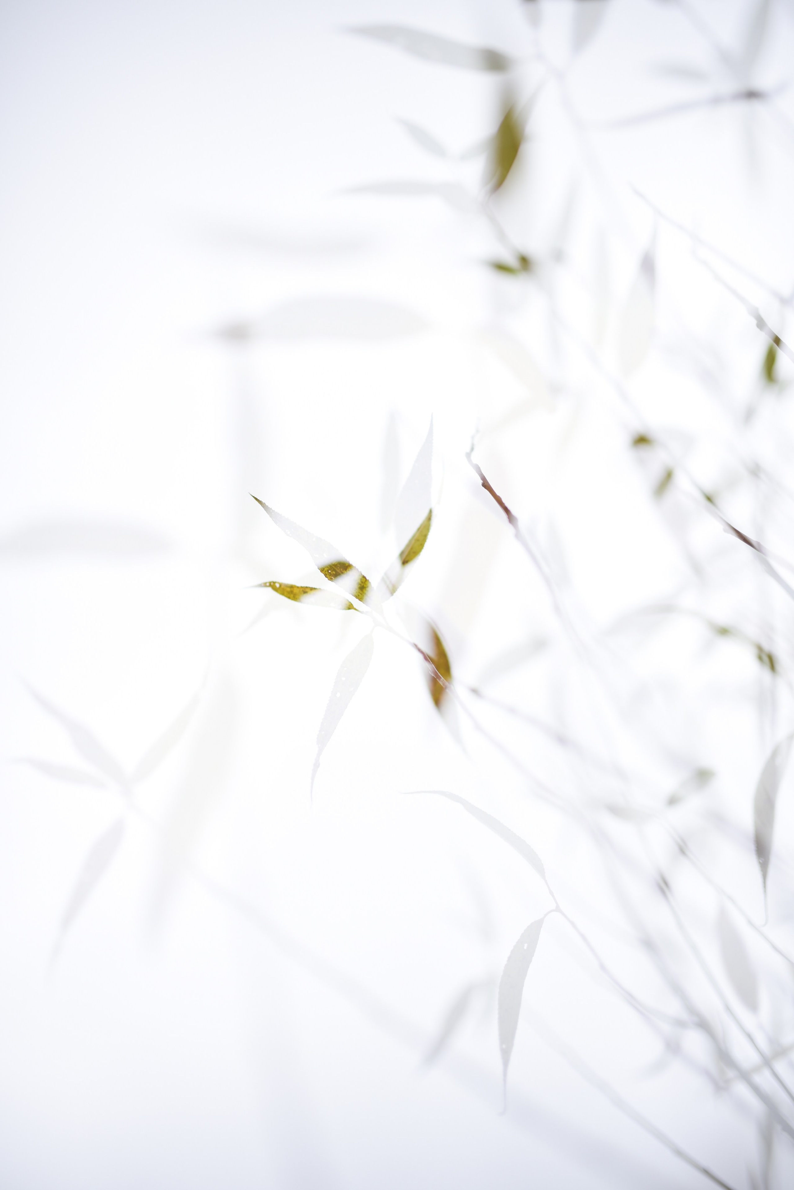 Nature. Anastasia Serdyuk, travel photographer, travel photo, portraits, stories, fineart prints