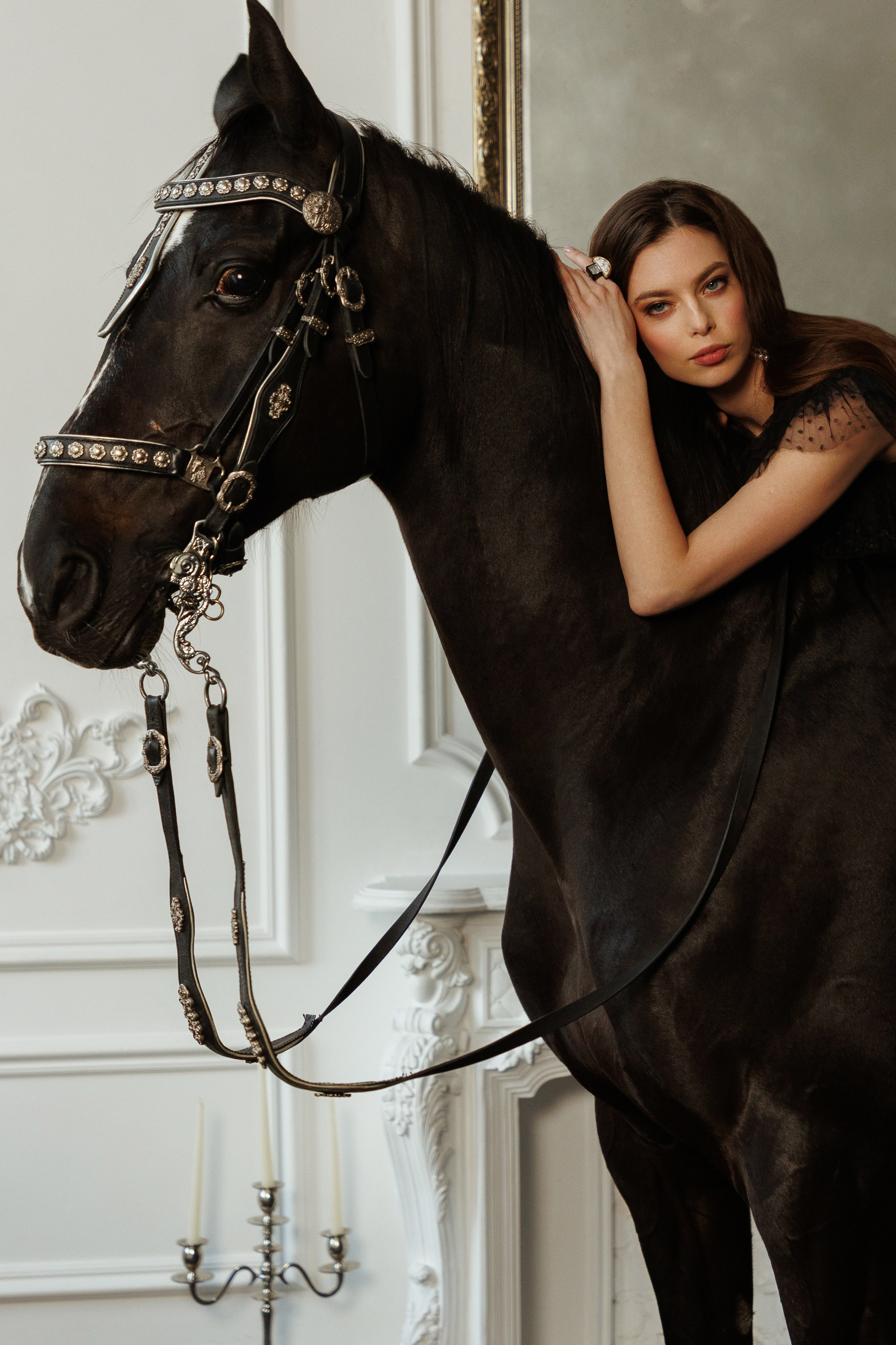 Лошадь в студии. Марковкина КрисТина