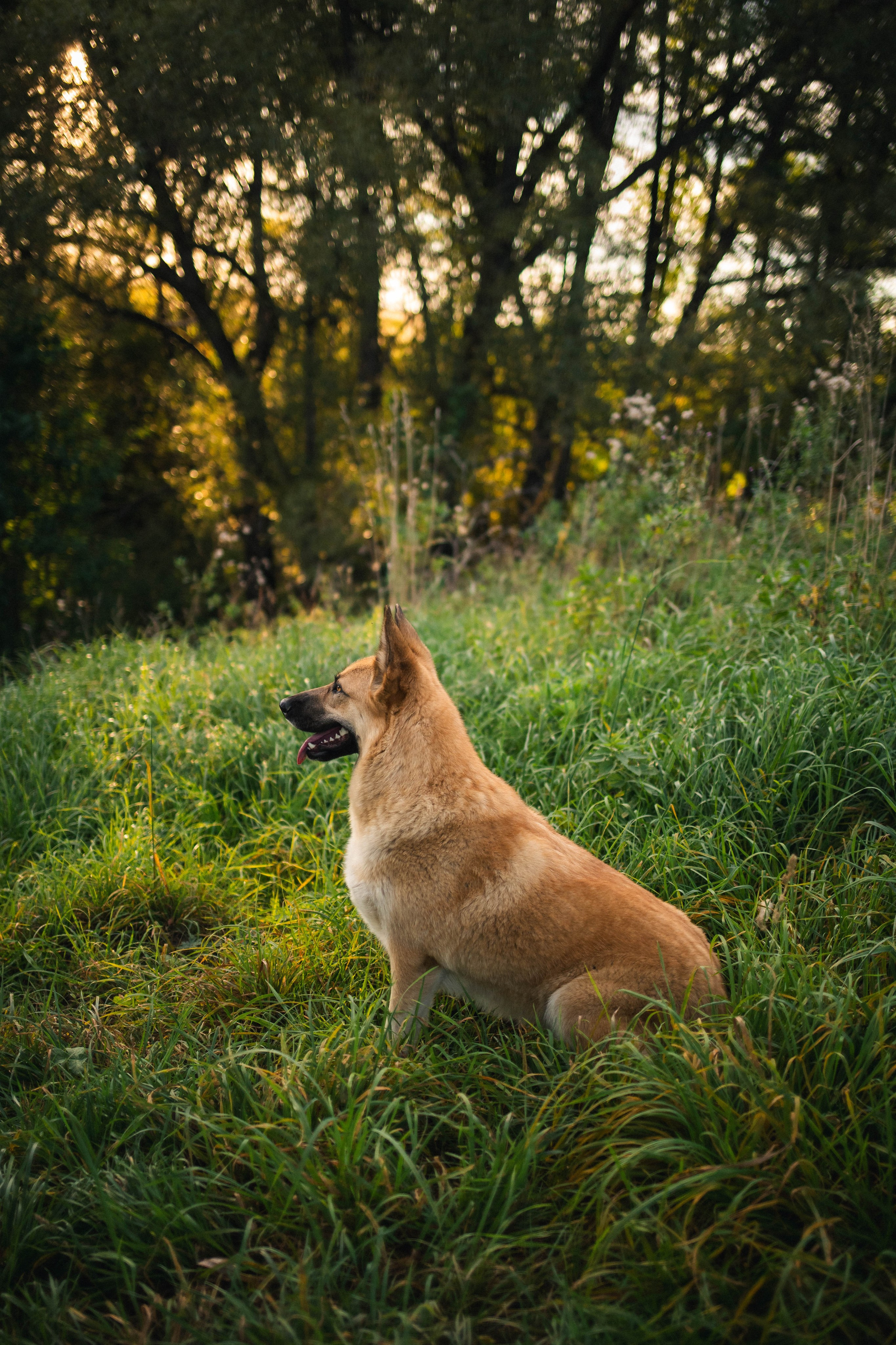 Альбом2. Фотограф Мария Сургаева | Профессиональная фотосъемка в Москве