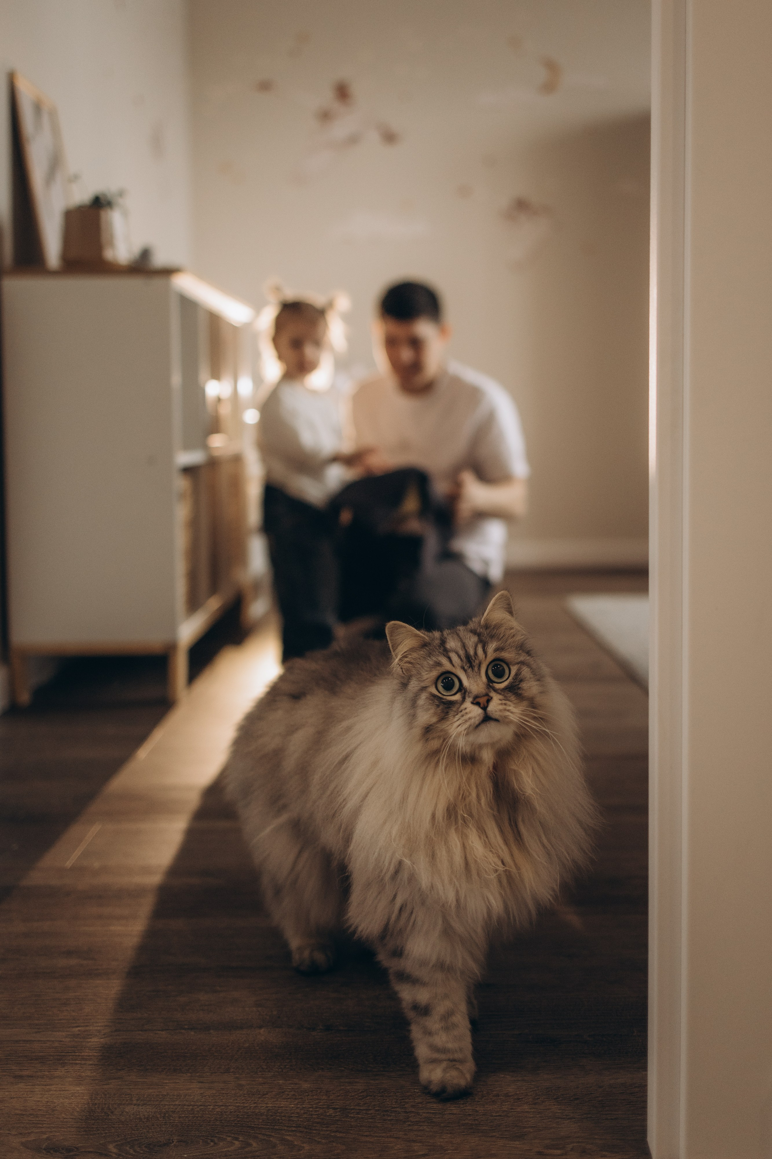 Миюше 2 годика