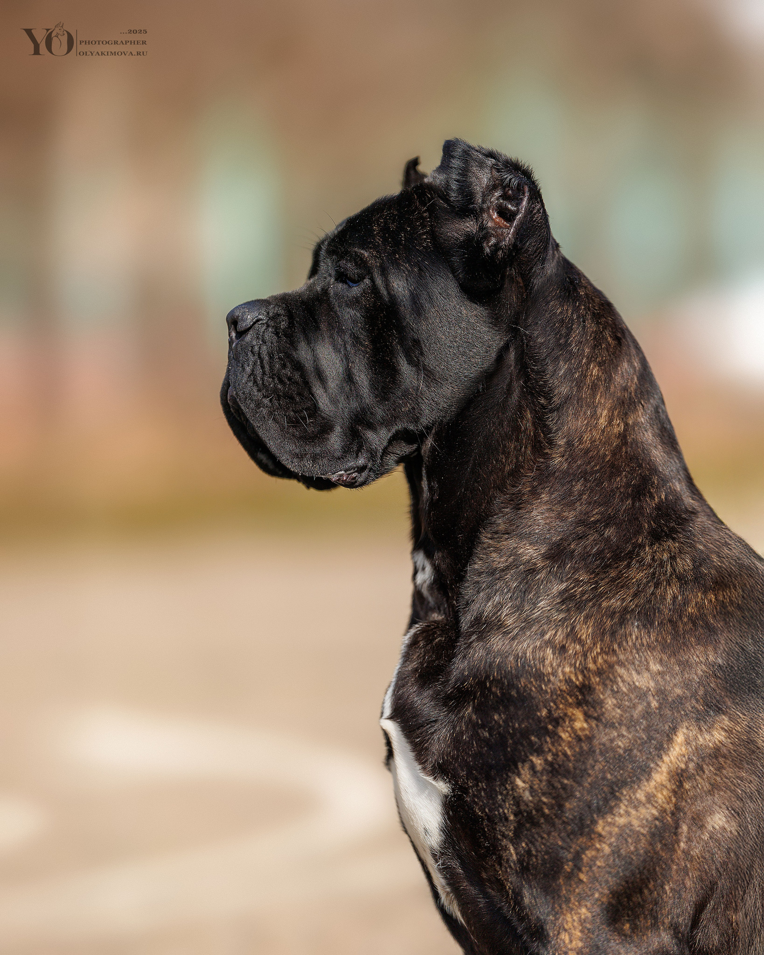 Экстерьер. Фотограф