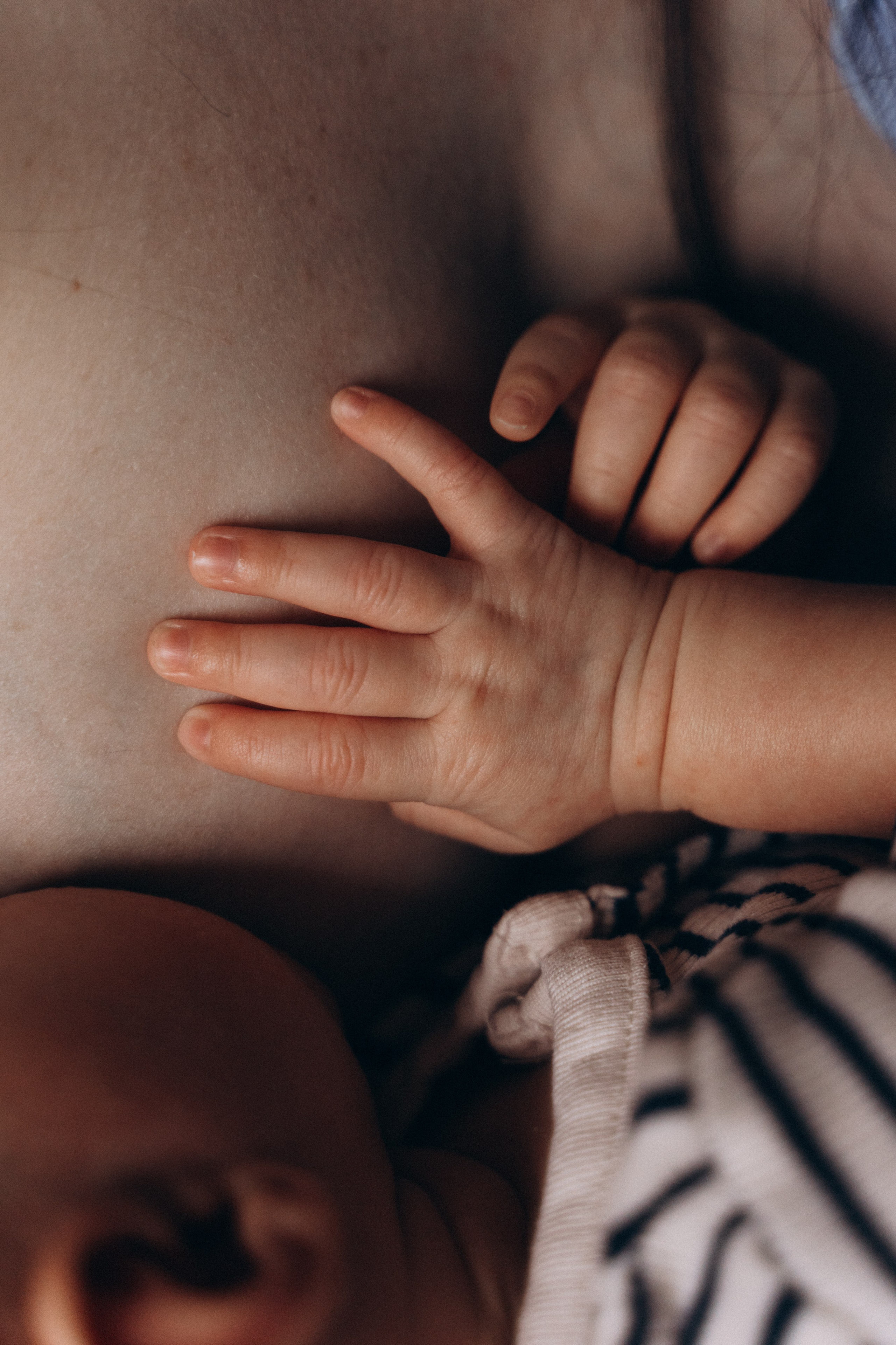 Лёша, Анфиса и Артем. Волик Мария