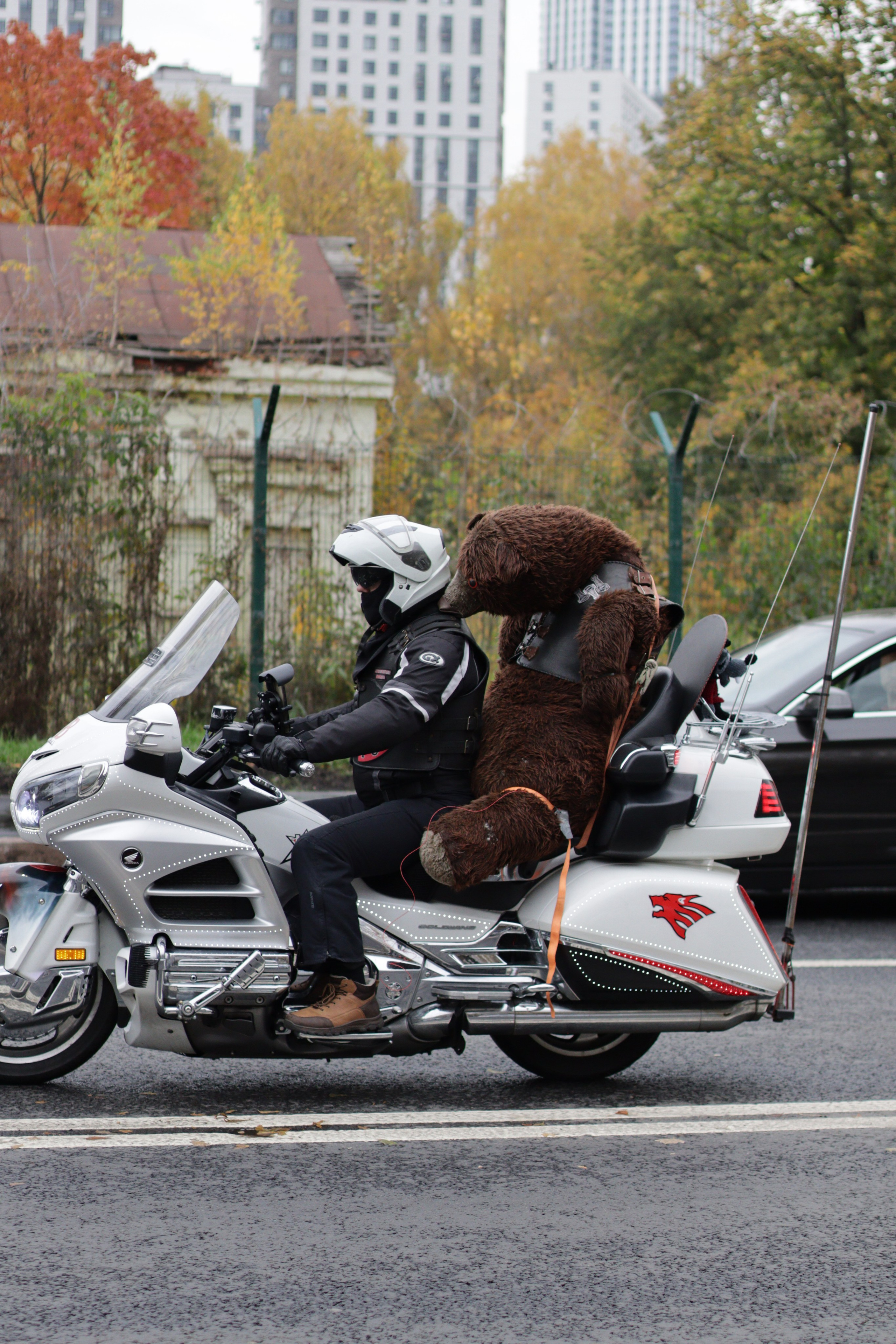 Мотоклуб «НОЧНЫЕ ВОЛКИ» Закрытие сезона 2025. Jane Kudryavtseva | MODEL PHOTO & PORTRAIT
