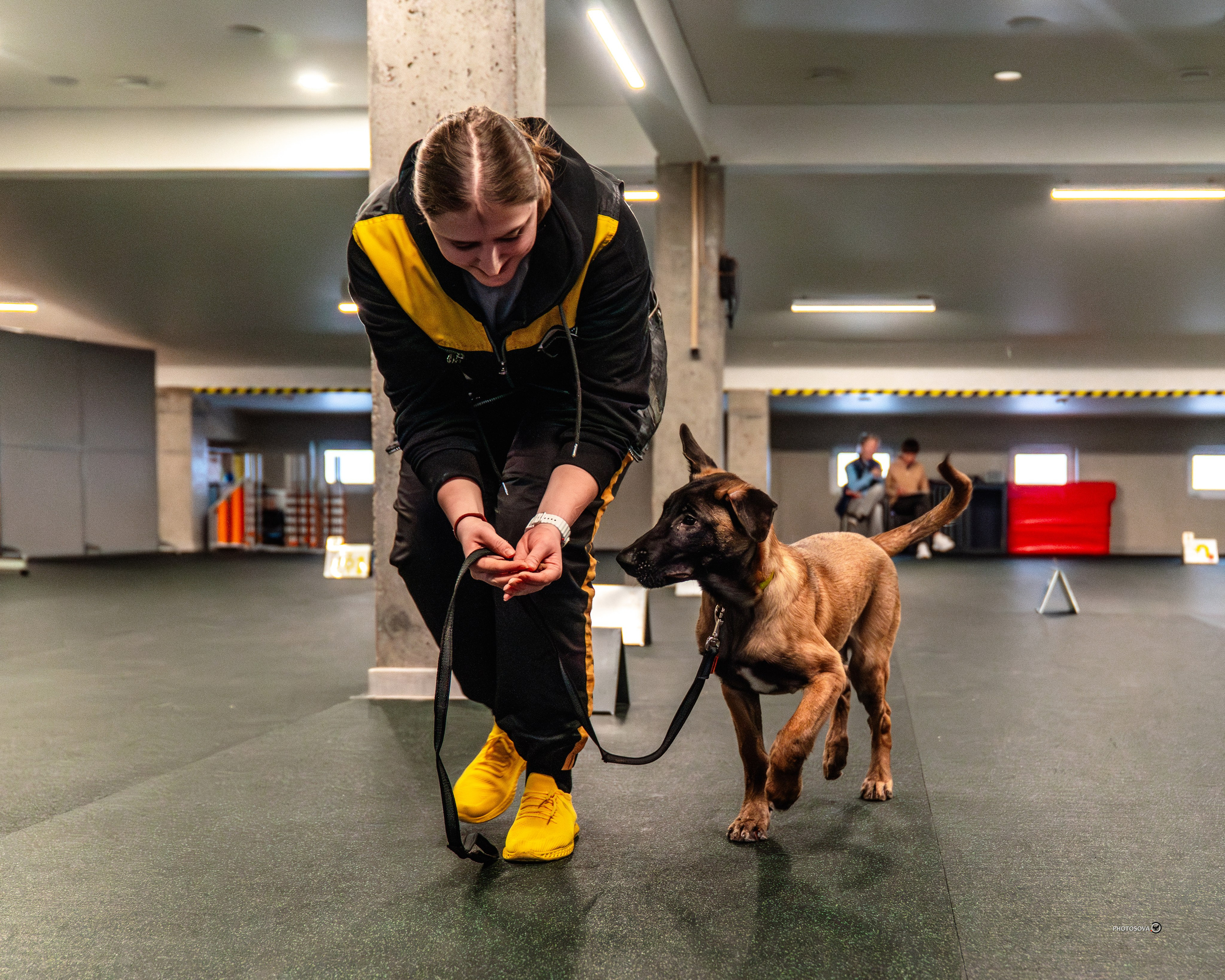 ТЫ И Я (соревнования по ралли-обидиенс). Фотограф-анималист, семейный фотограф в Москве и Подмосковье. Фотосъёмка кинологических дисциплин