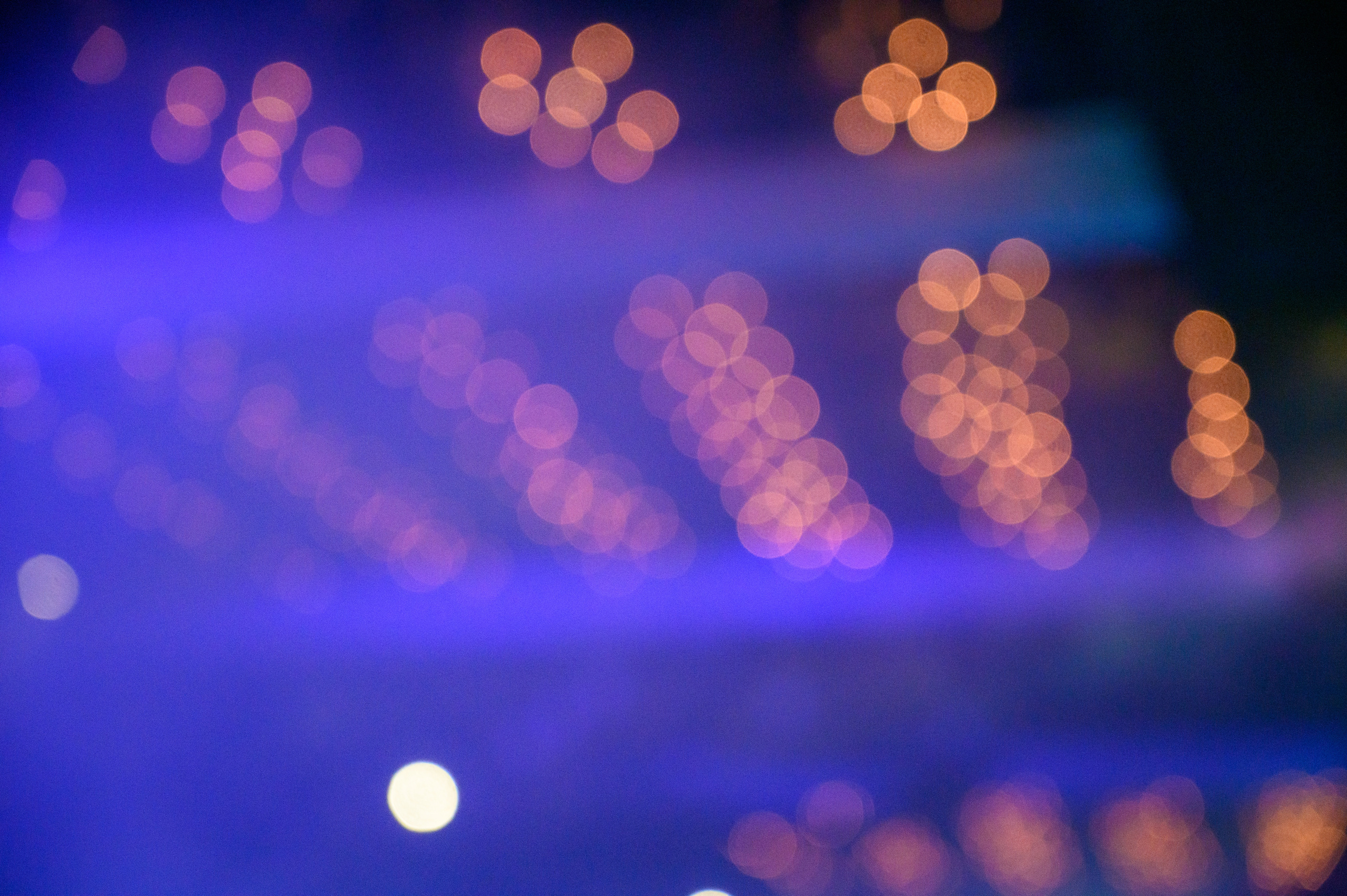 Мотыльки. Свадебный и семейный Фотограф в Москве Александр Березин