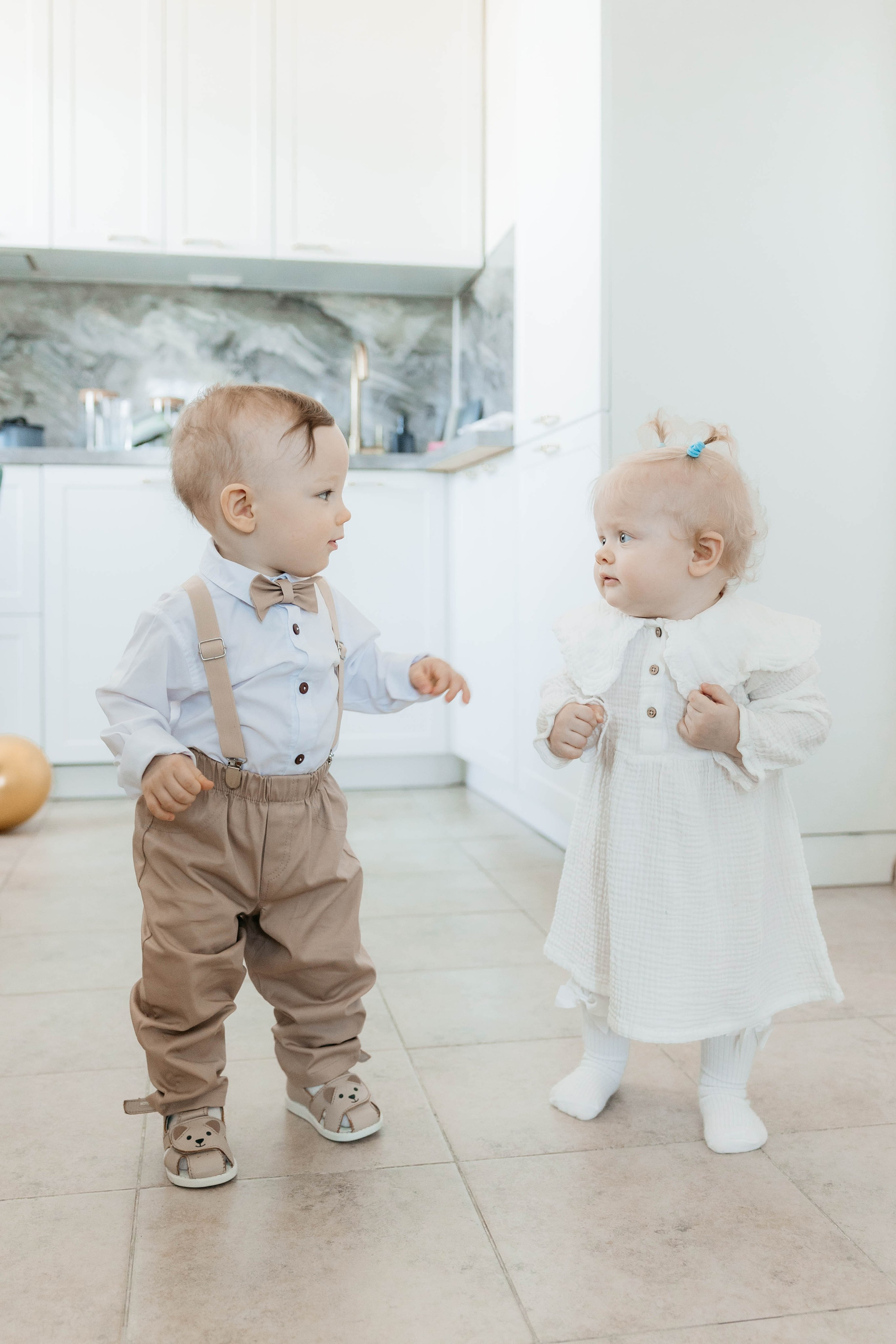 Лев. 2024 г. Персональный фотограф Катерина Литвинова