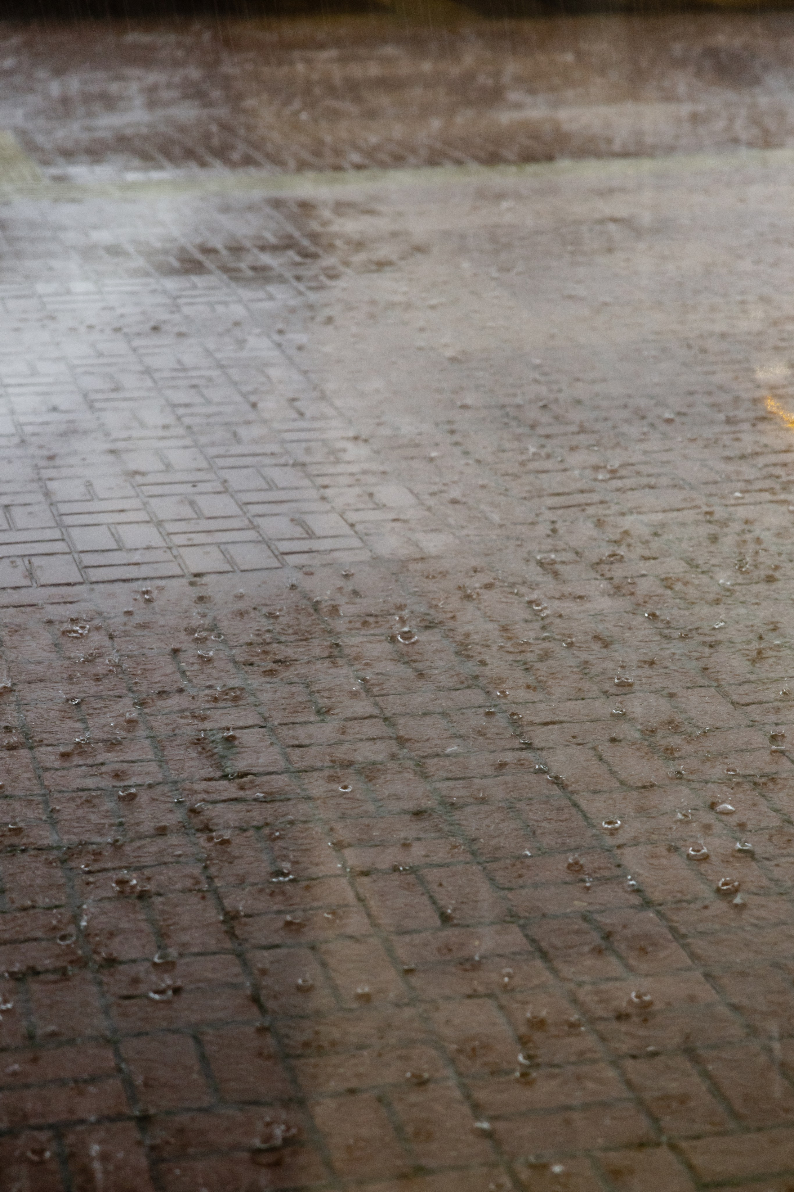 Илья и Евгения. Свадебный фотограф Анна Бабахина