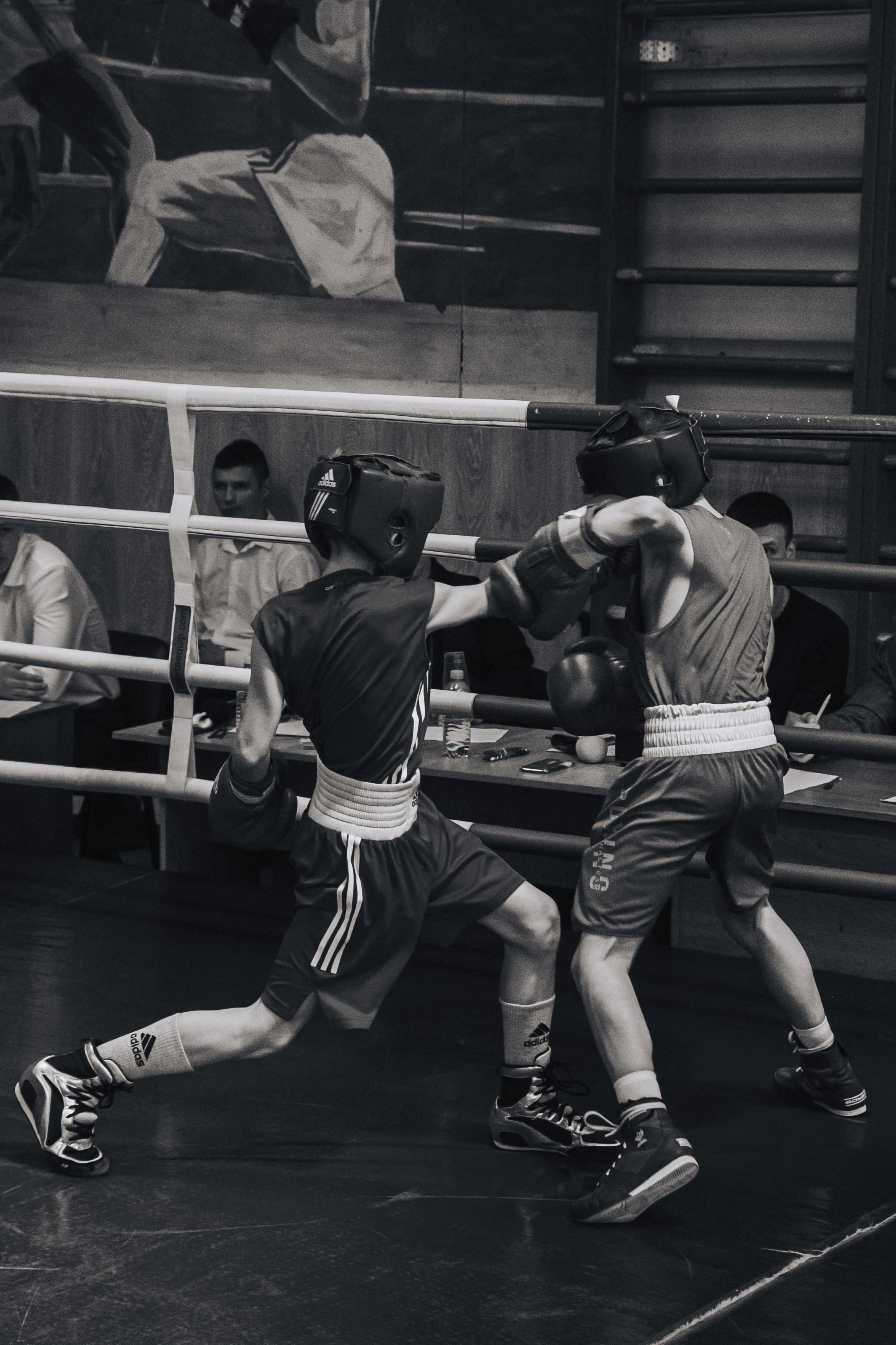 Бокс — РЗН — 26.04.2025. Фотограф в Рязани — Кузнецов Михаил