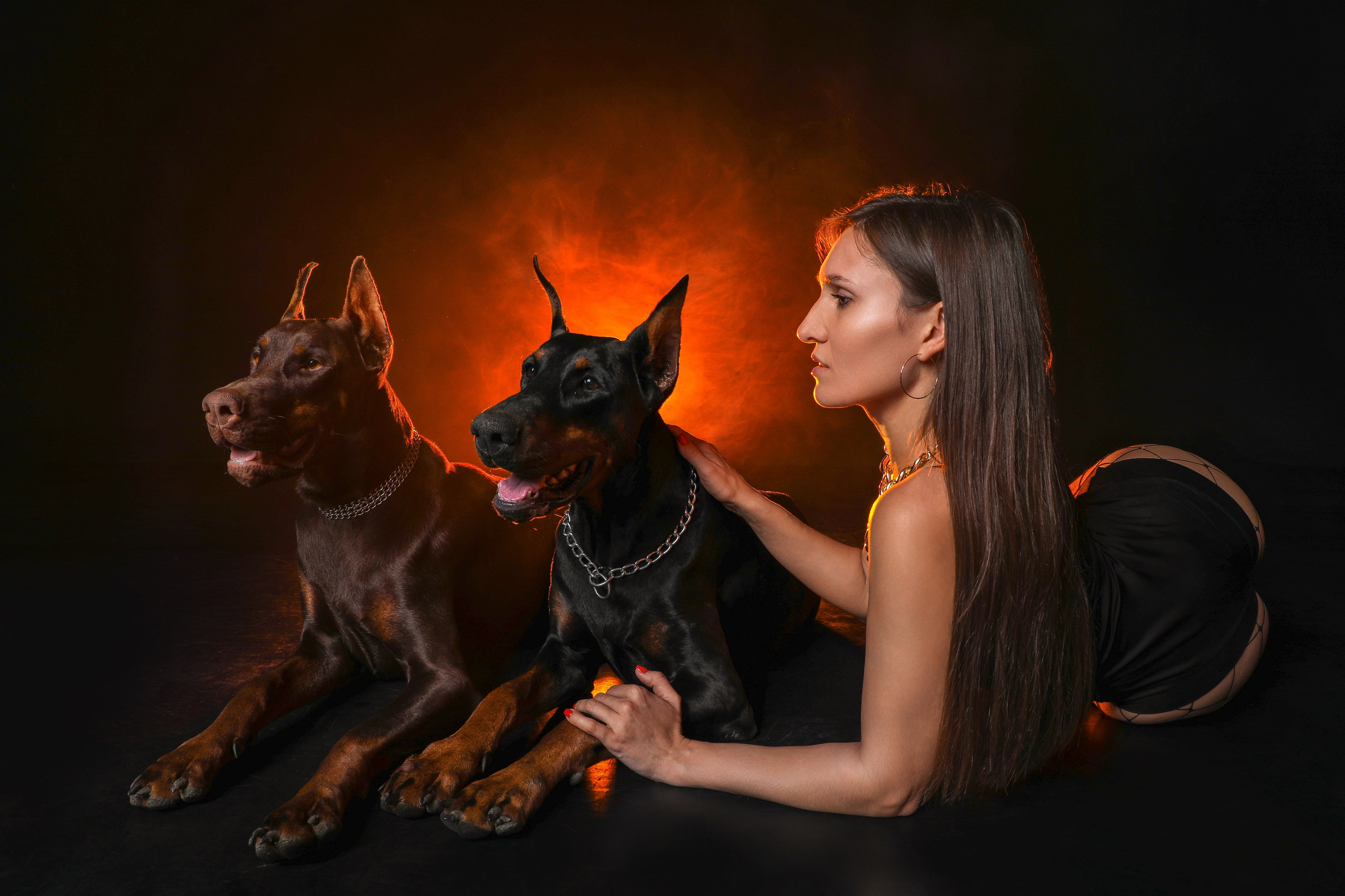 ПРОЕКТ «ДОБЕРМАНЫ». Photographer Viktoriya Markushina «My world throug»