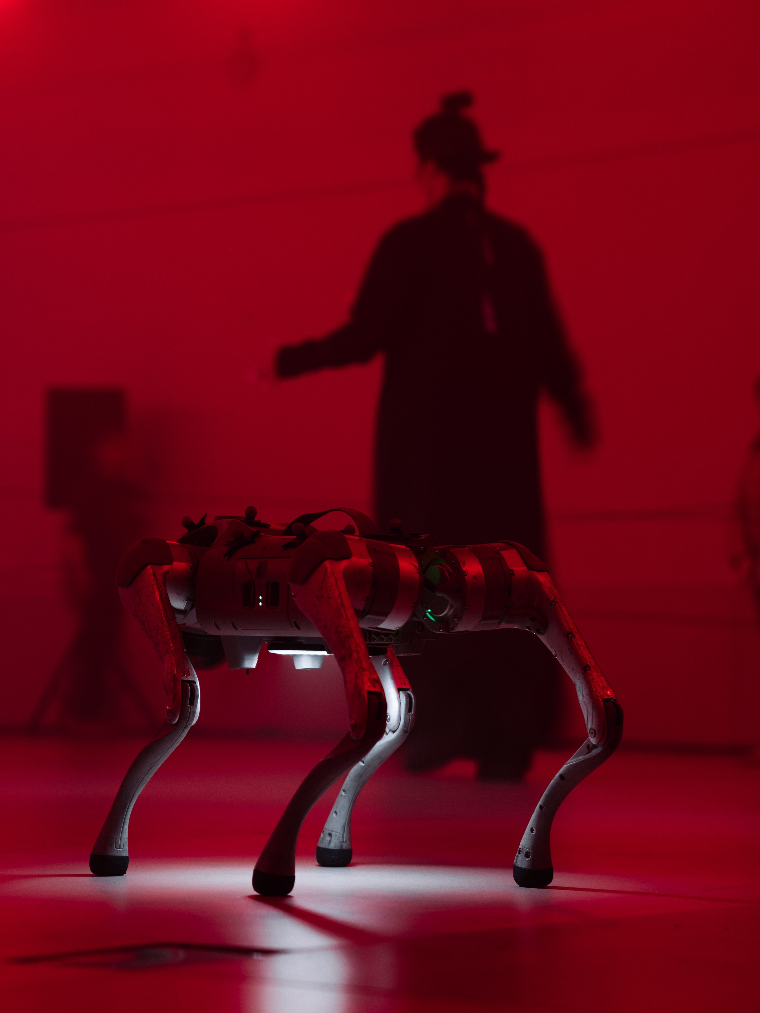 Intervals Festival 2025. @tomrus: Рустам Шагиморданов — фотограф