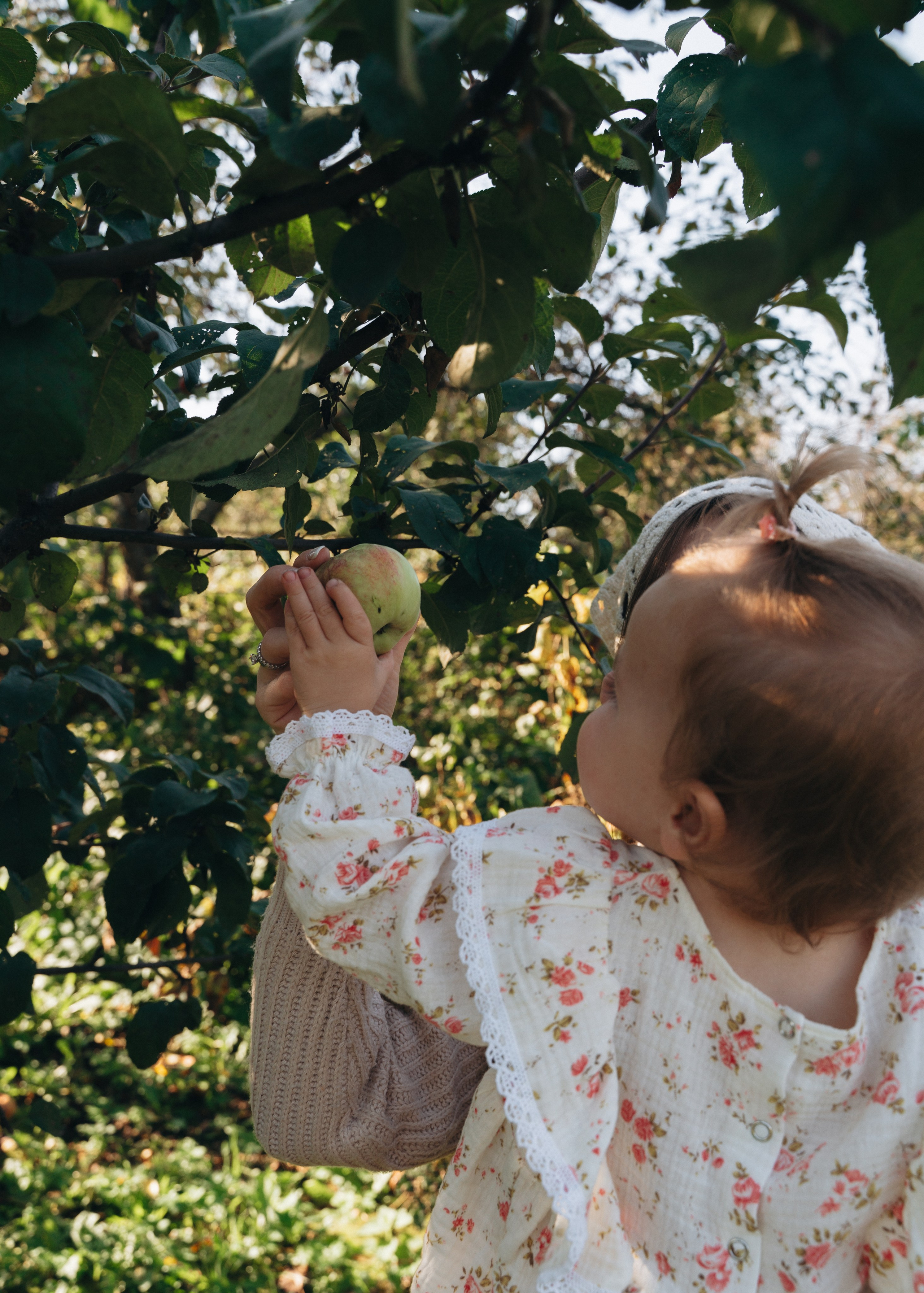 МАЙЯ🤍. FotoTanya. Раменское/Жуковский/Бронницы