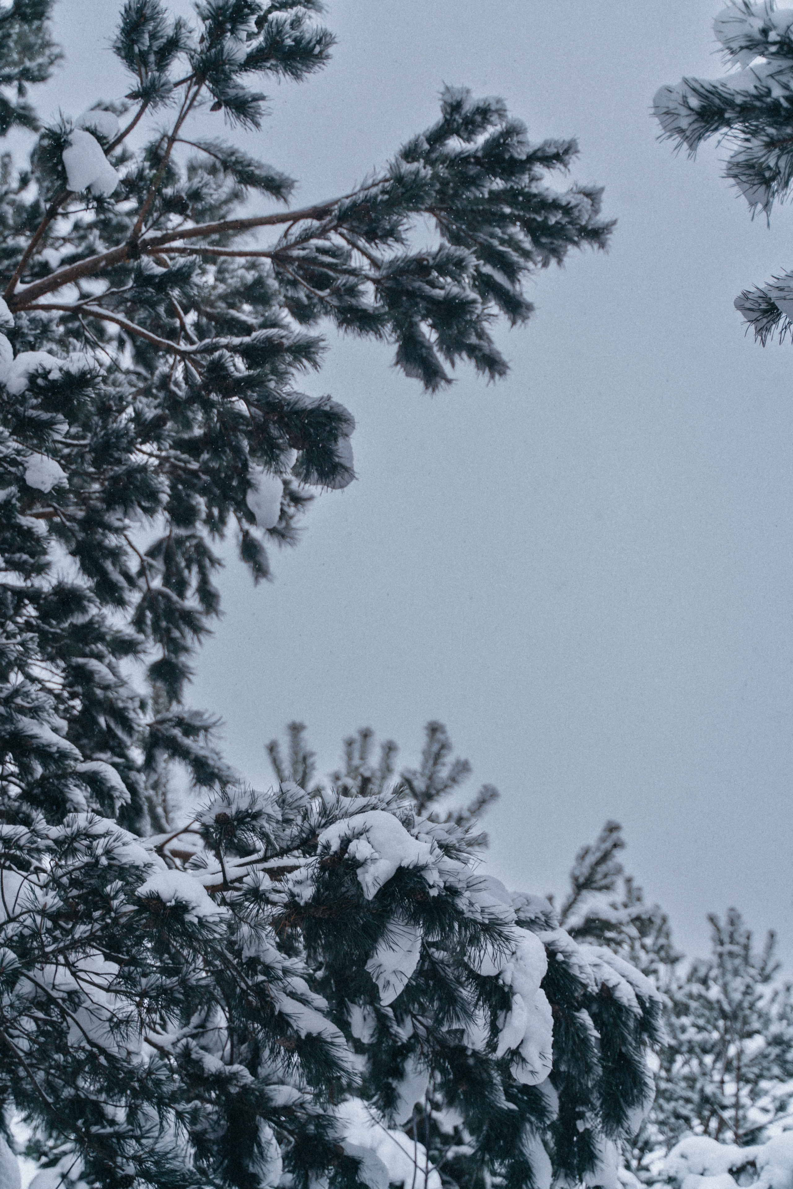 Ольга. FotoTanya. Раменское/Жуковский/Бронницы