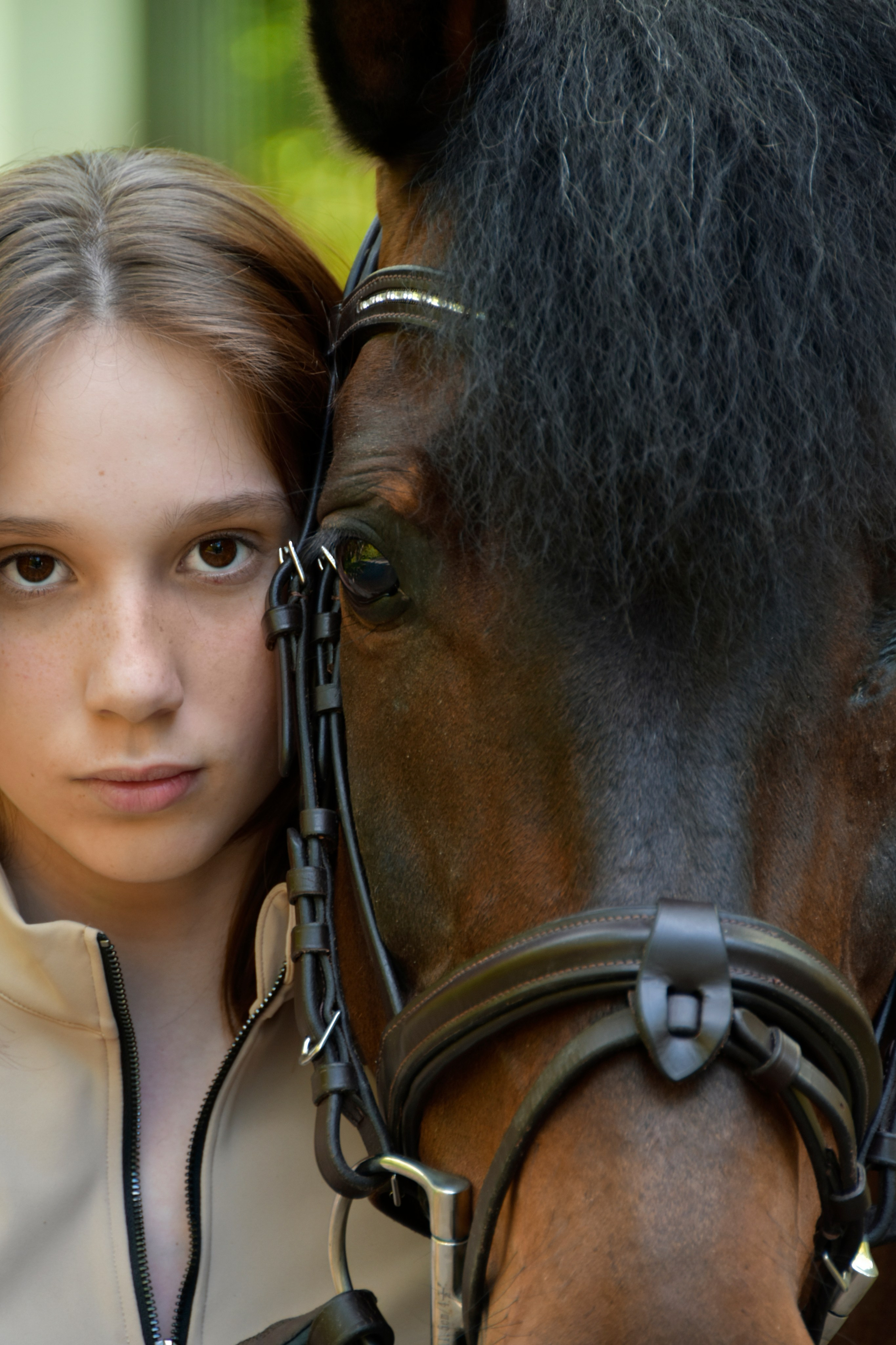 Александра и Капрал (клеппер). Конный фотограф Москва