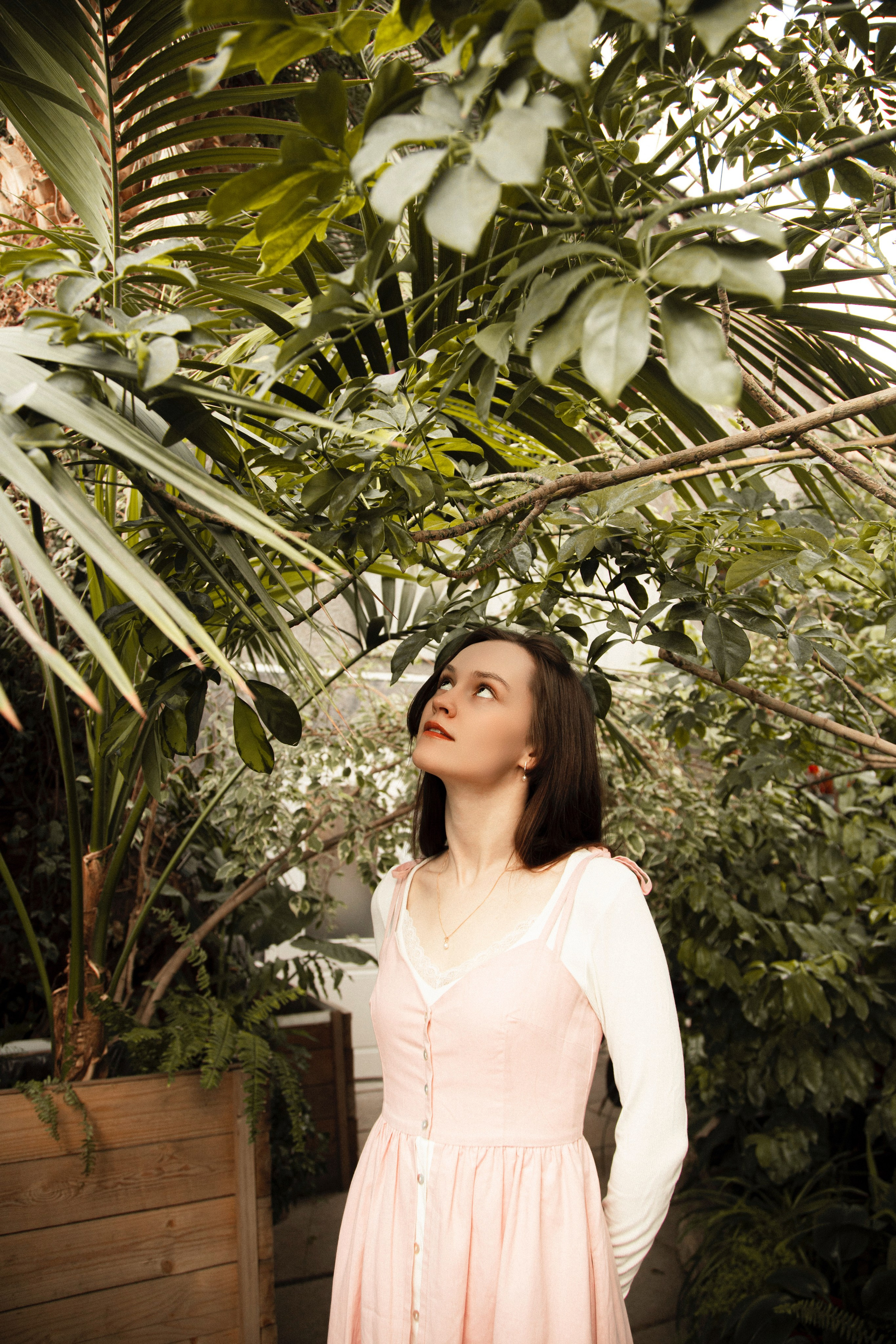 Оранжерея Таврического сада