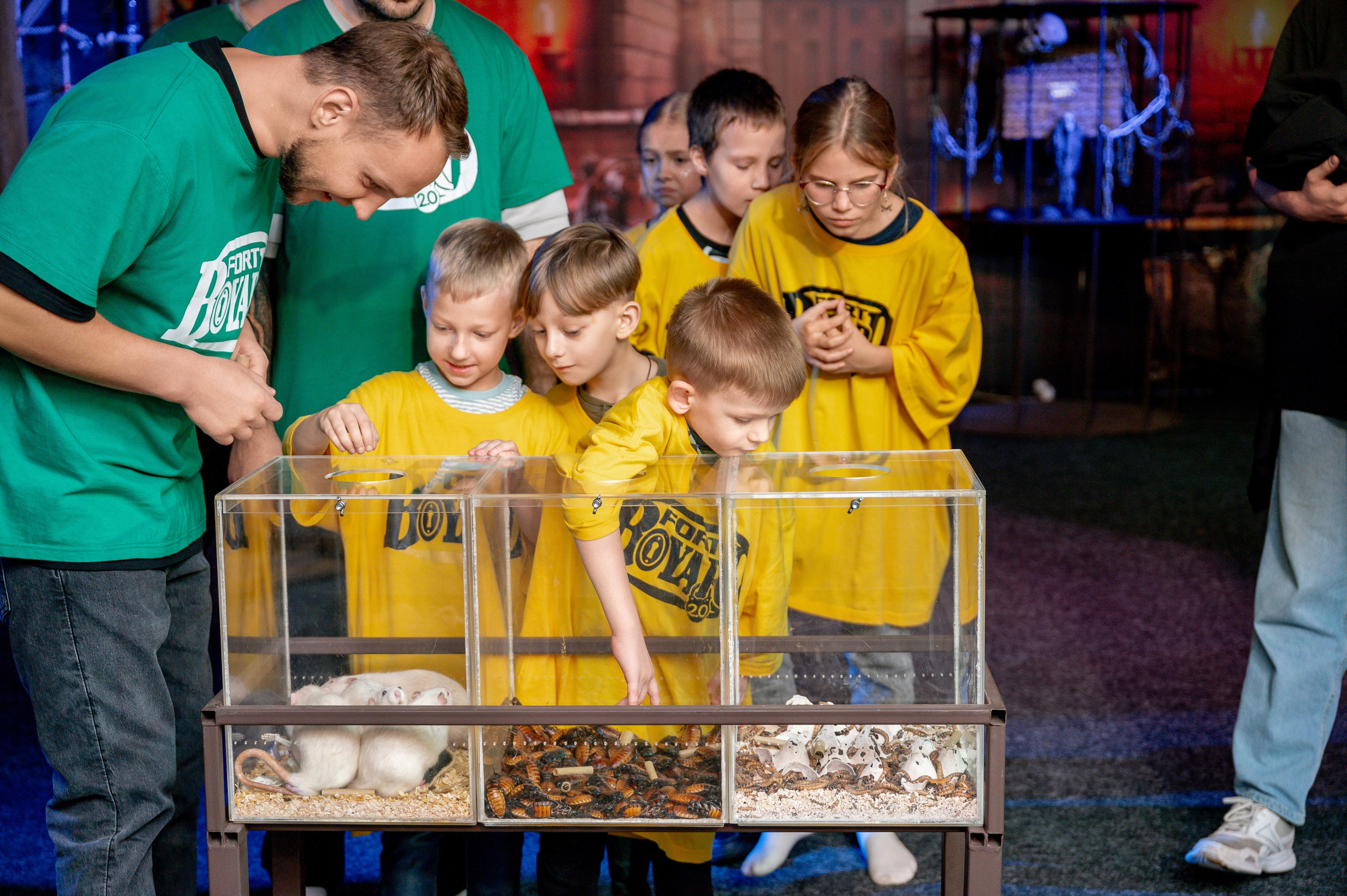 «Форд-боярд». Свадебный, семейный и репортажный фотограф. Брянск. Эльвира Голенкова