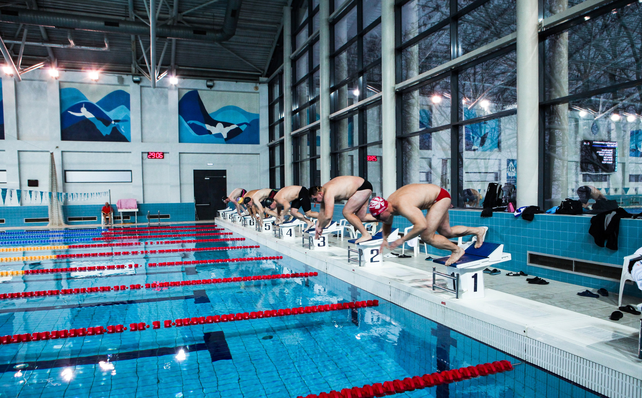 Соревнования по плаванию. Репортажный, семейный, свадебный, портретный фотограф