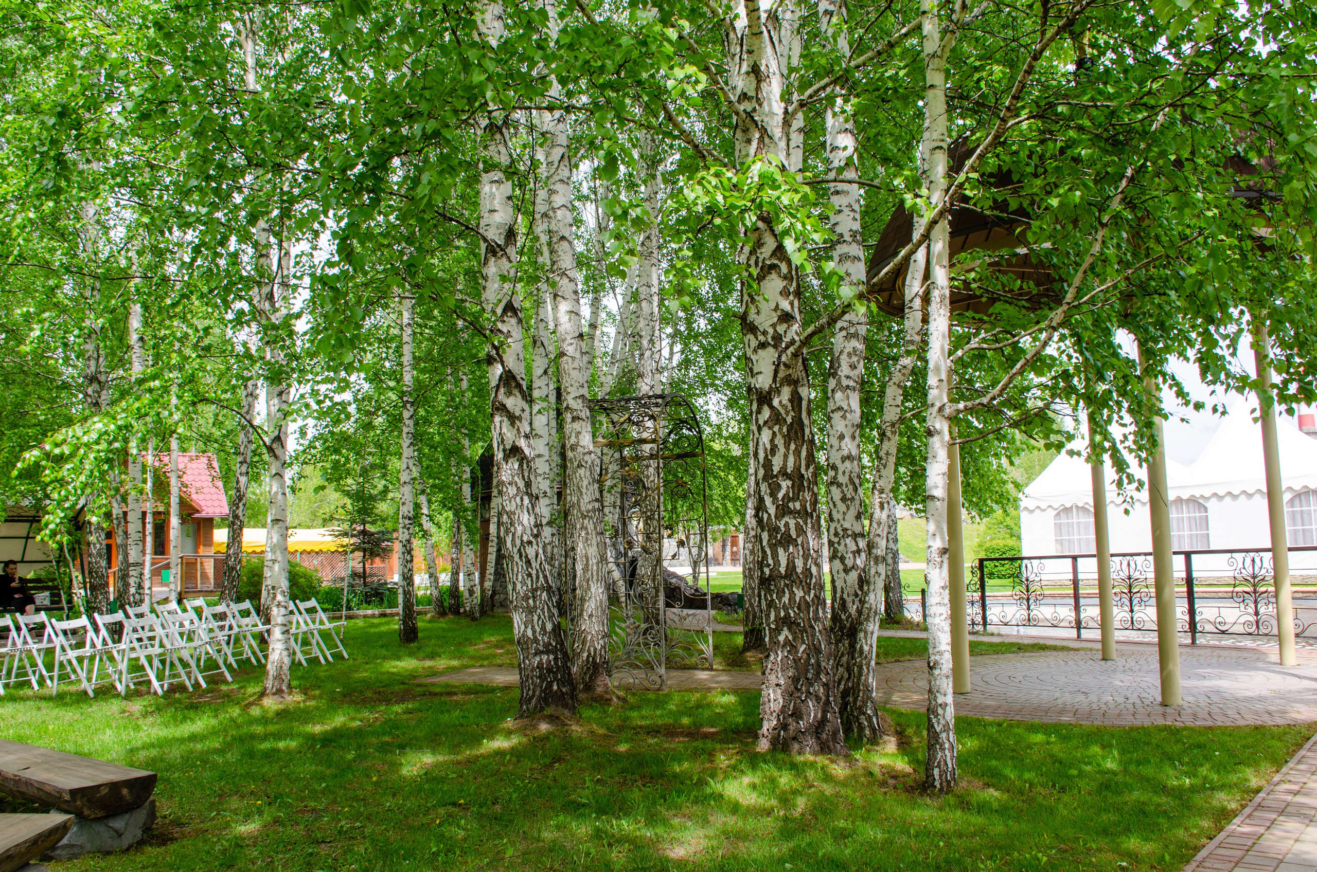 Сагиттариус. Фотограф Универсал в Новосибирске