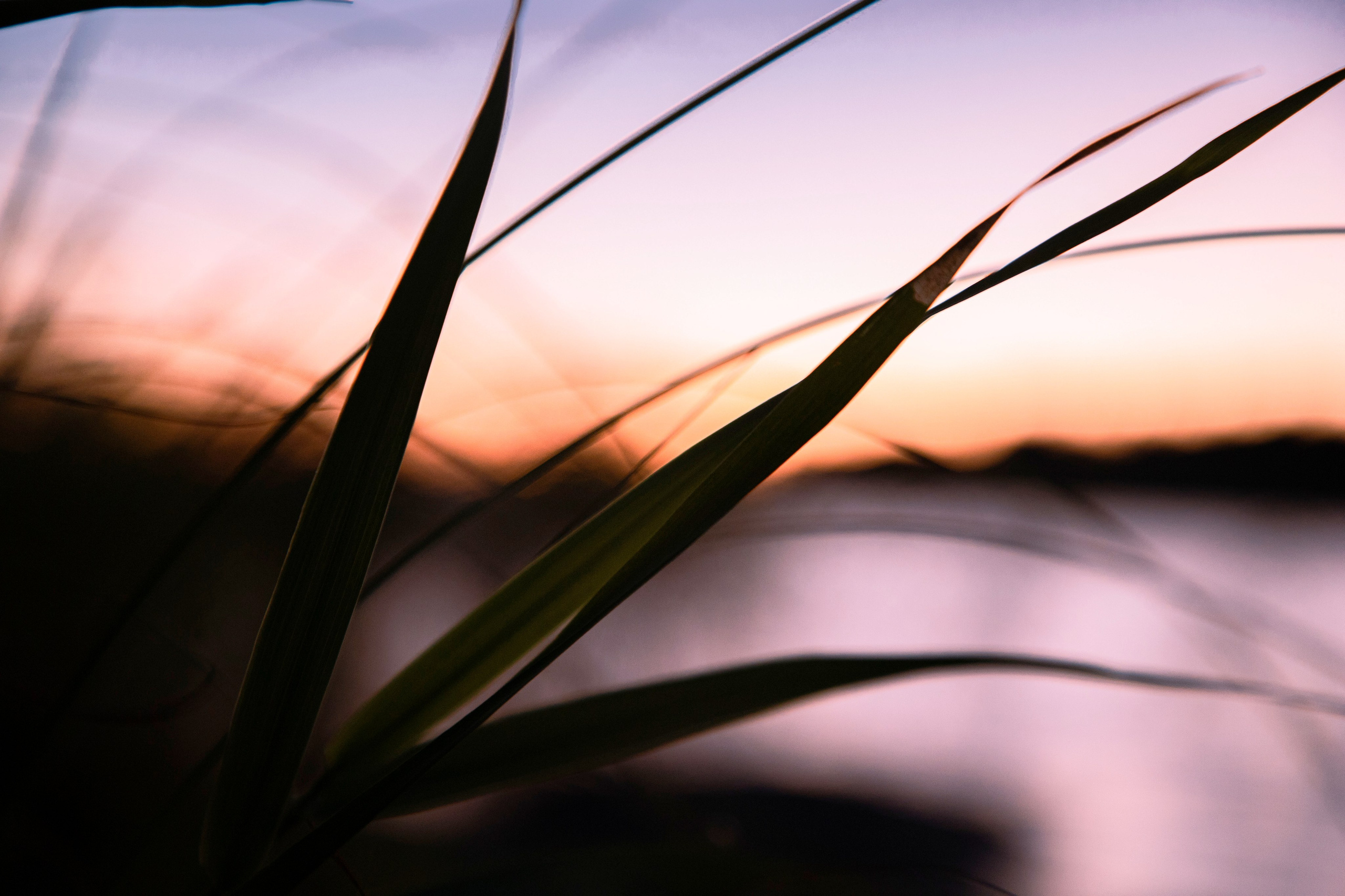 Вуокса. Фотограф Алексей Шуля — портфолио