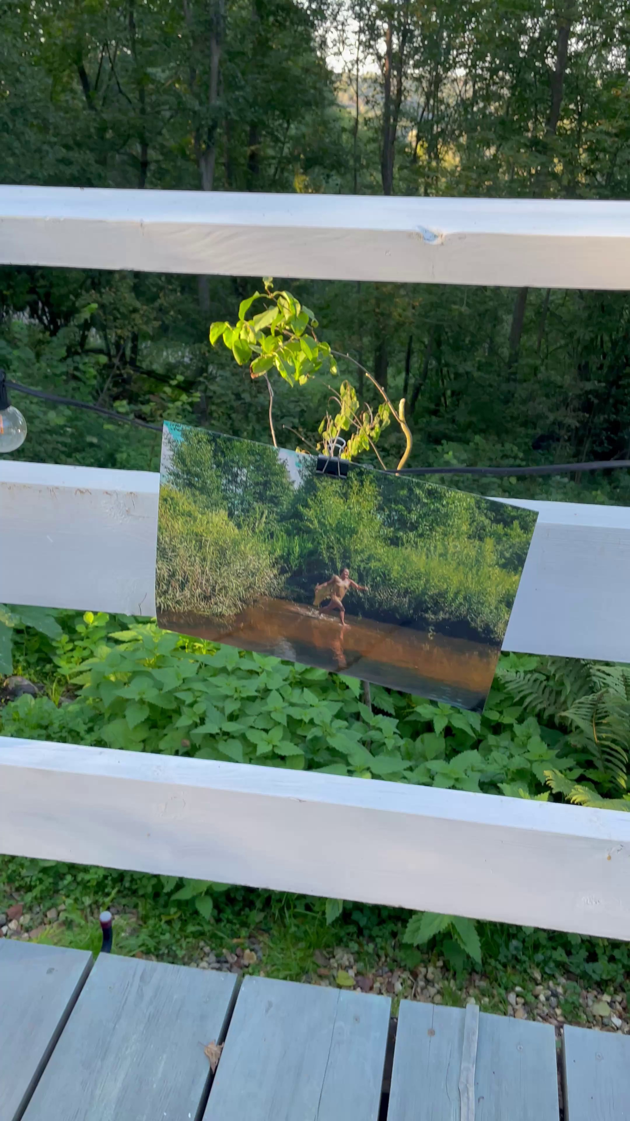 Персональные выставки. Визуальный художник Лиана Даренская, Москва