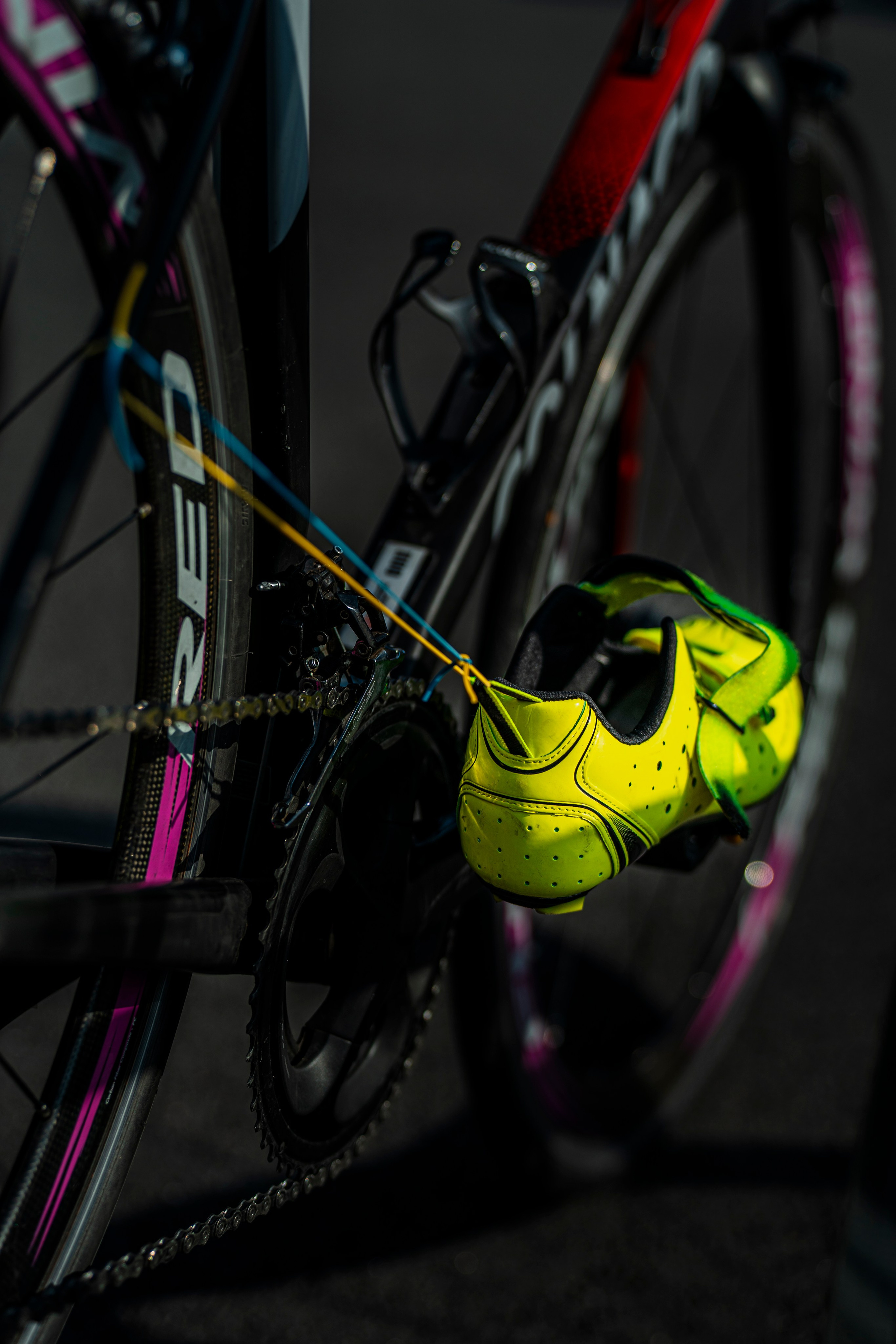 Дуатлон 2024. Алексей Панин — Креативный фотограф СПб