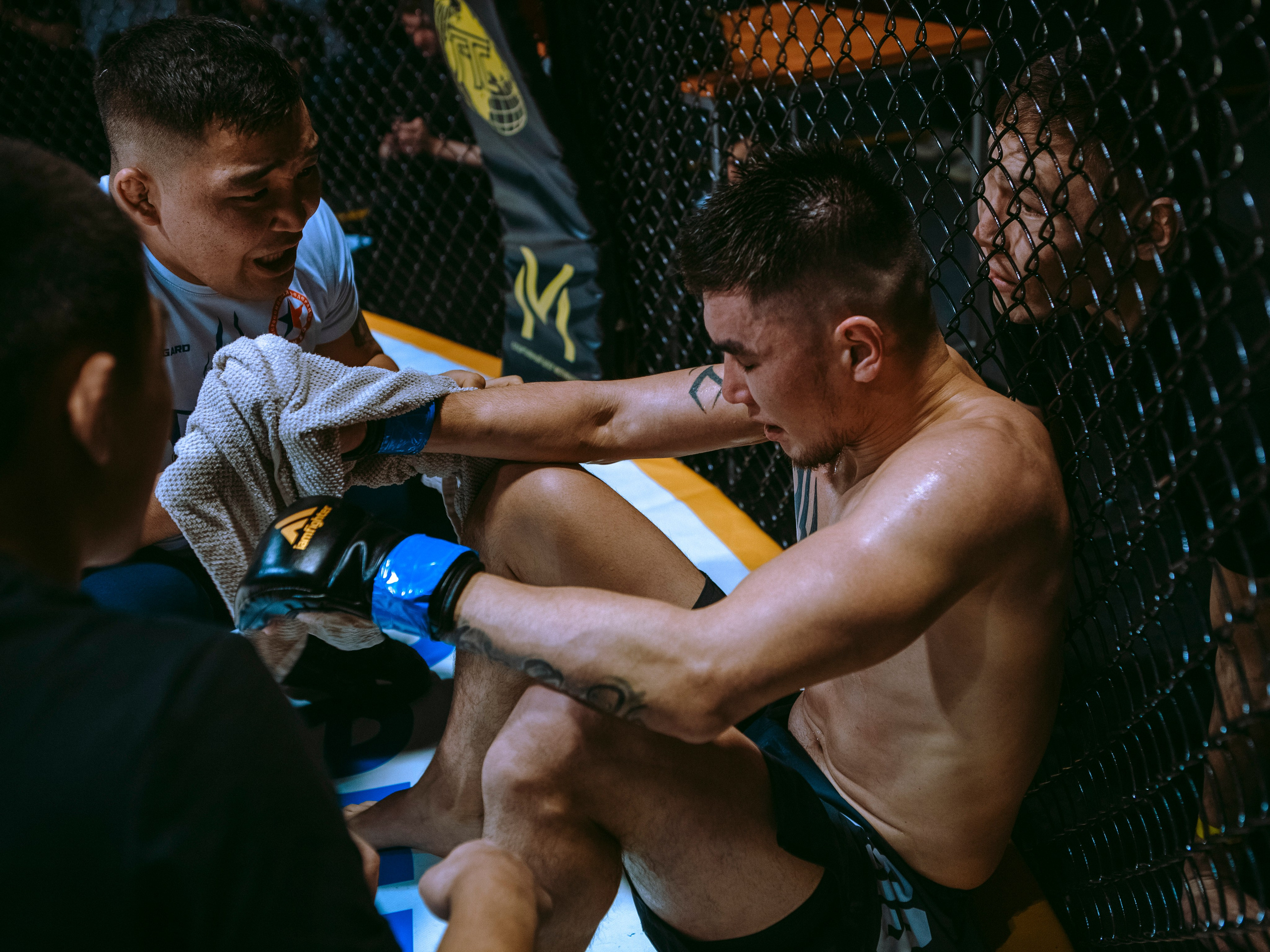 SFL 17 | Siberian Fighting League. Портретный фотограф в Москве Дарья Цезария