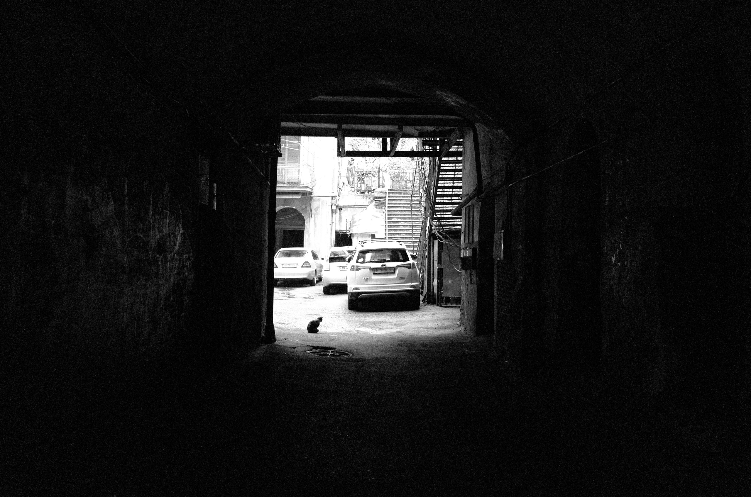 Фотографии из Грузии для интерьеров. Фотографии Руслана Сайдалиева (Рус Сай)