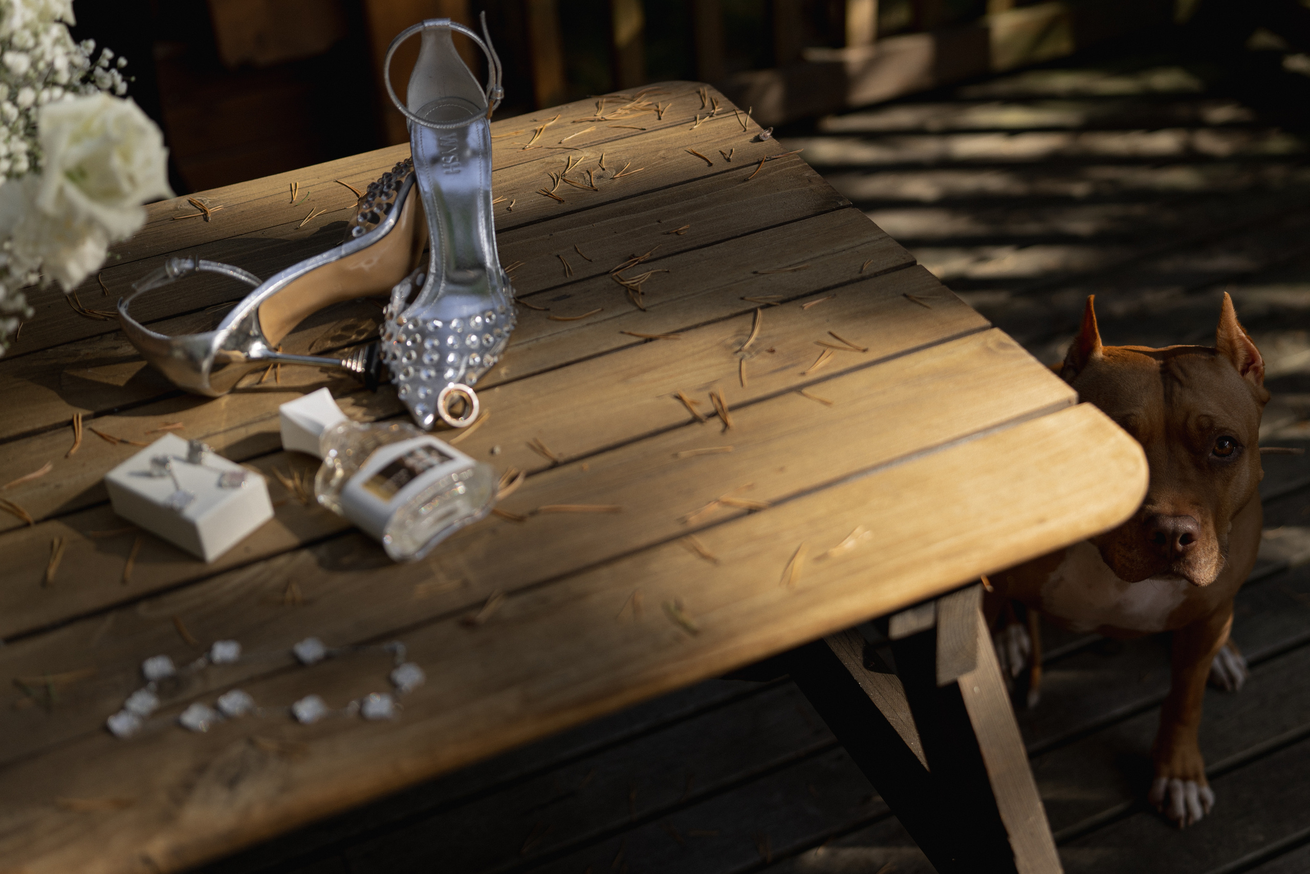 «Не бойтесь, она не кусается…». Фотограф Макс Меш