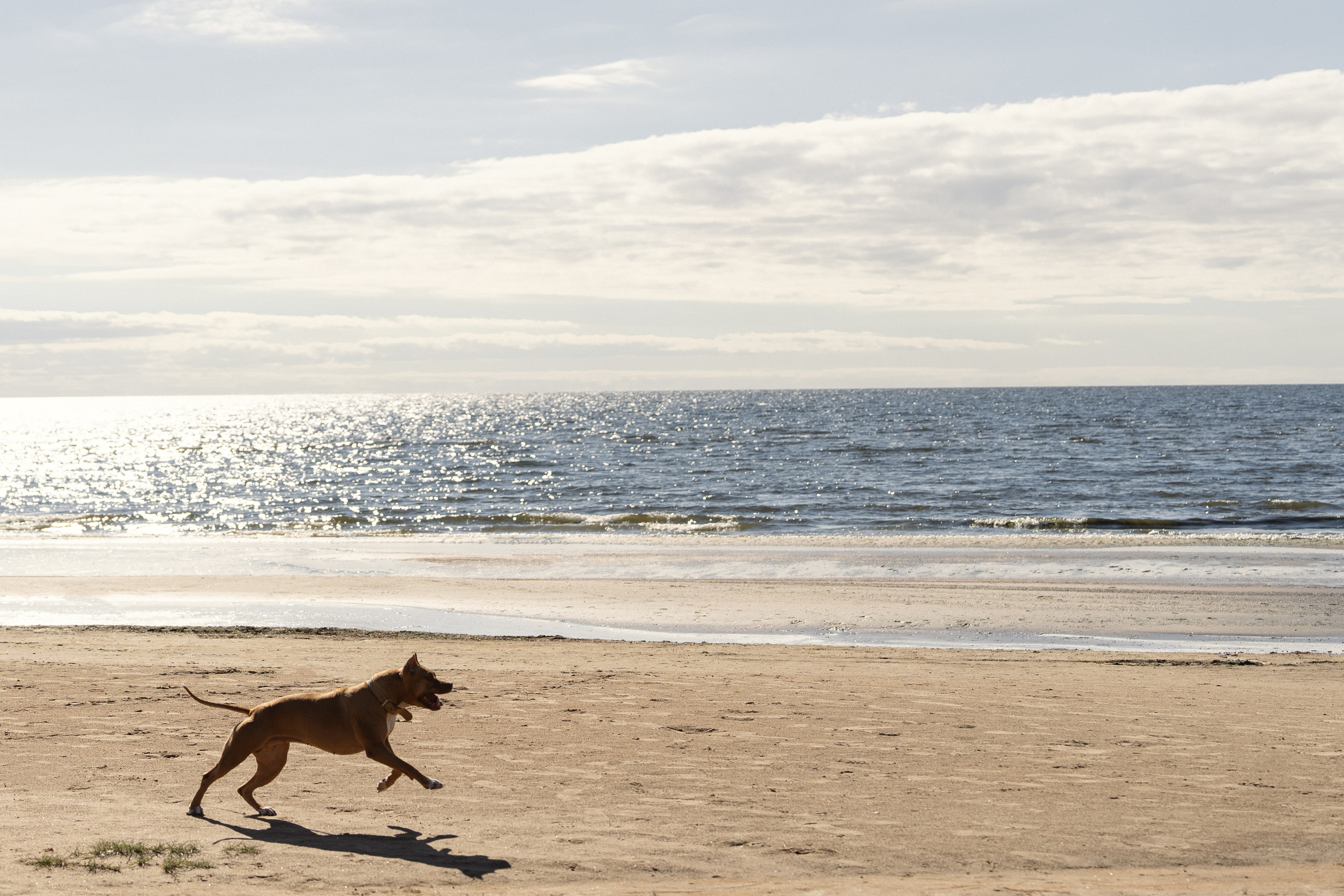 «Не бойтесь, она не кусается…». Фотограф Макс Меш