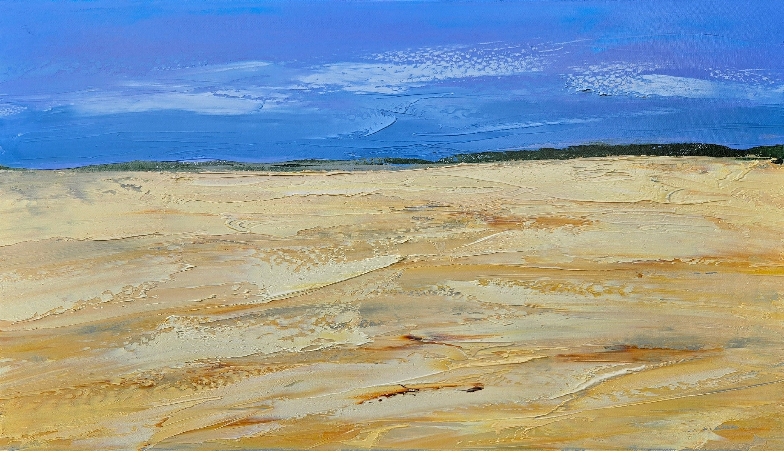 Художник Ленур Велиляев